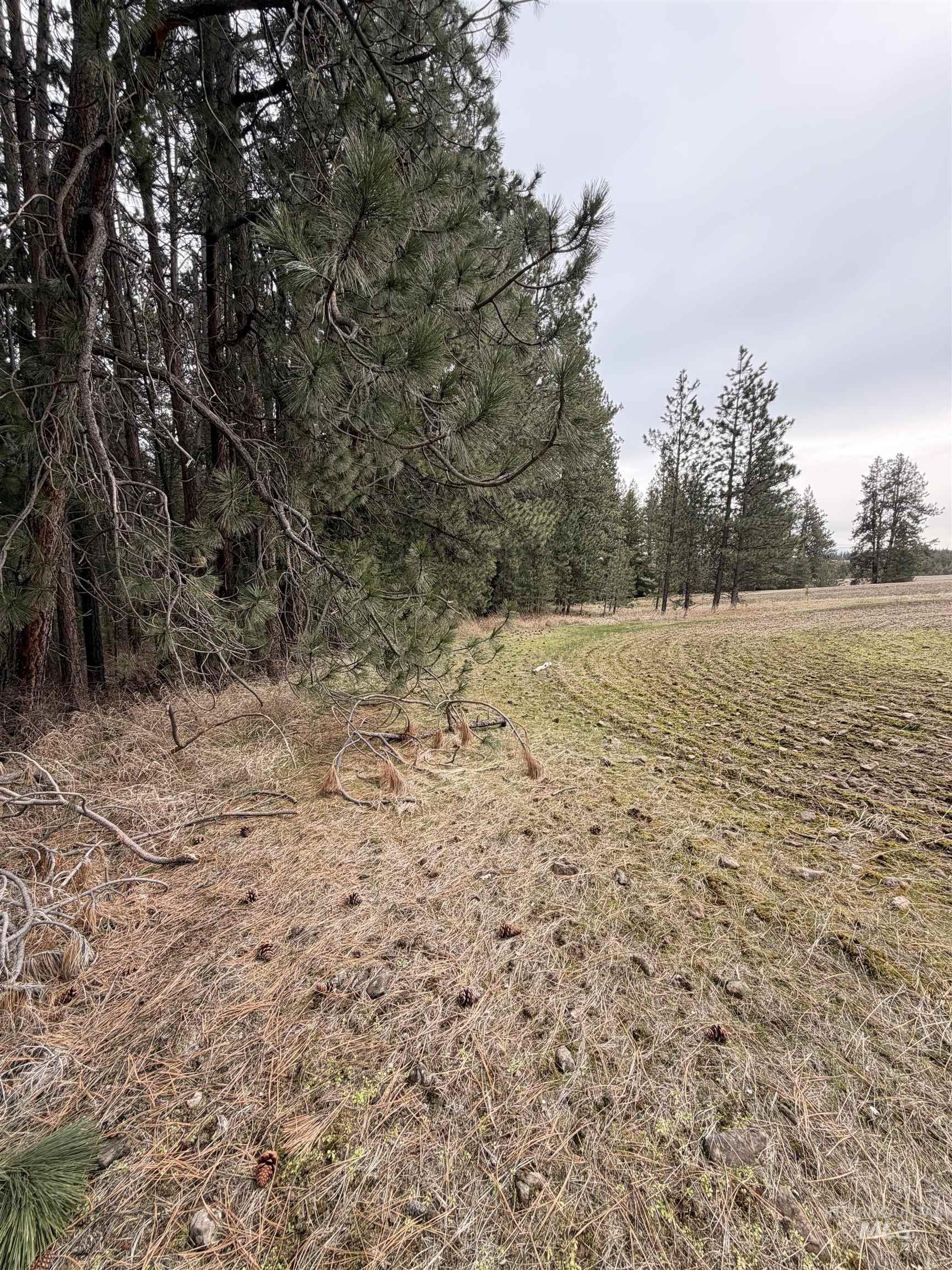 Tbd Sandhill Rd Property Photo 18