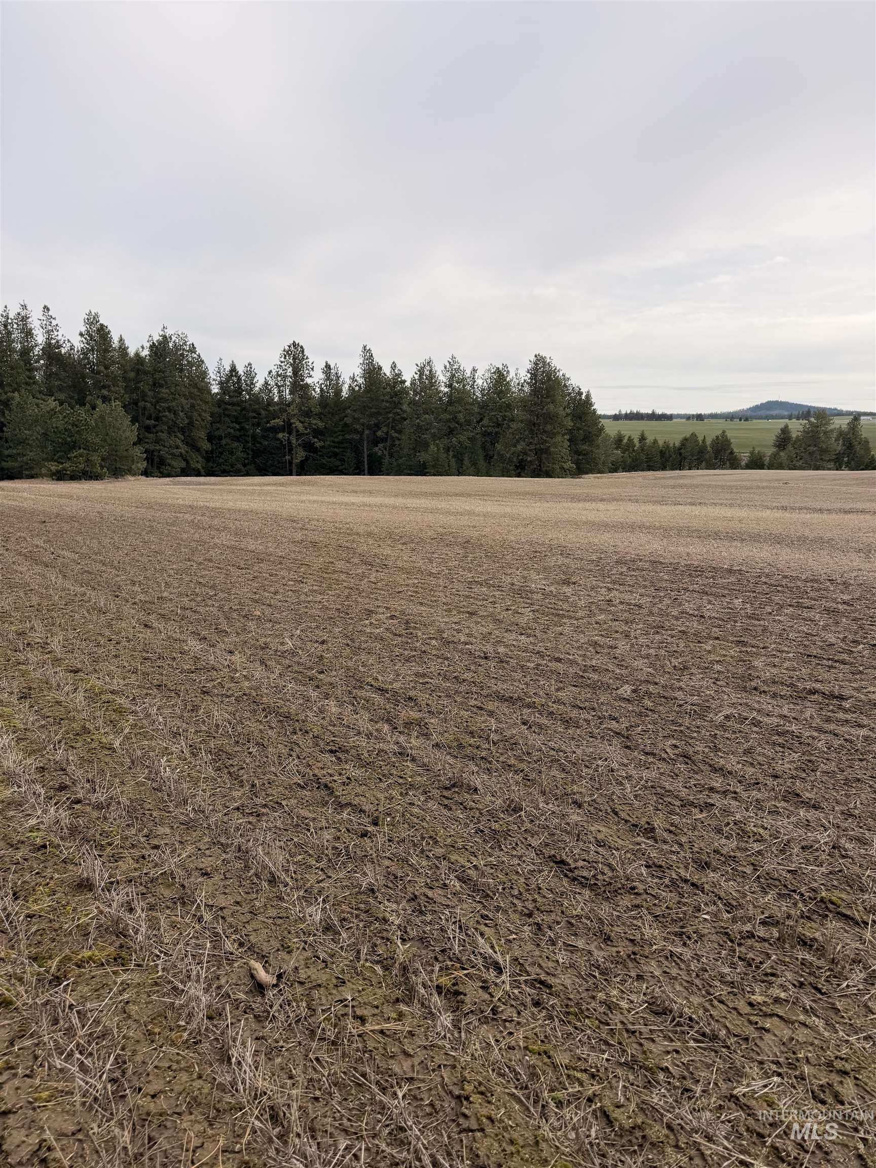 Tbd Sandhill Rd Property Photo 19
