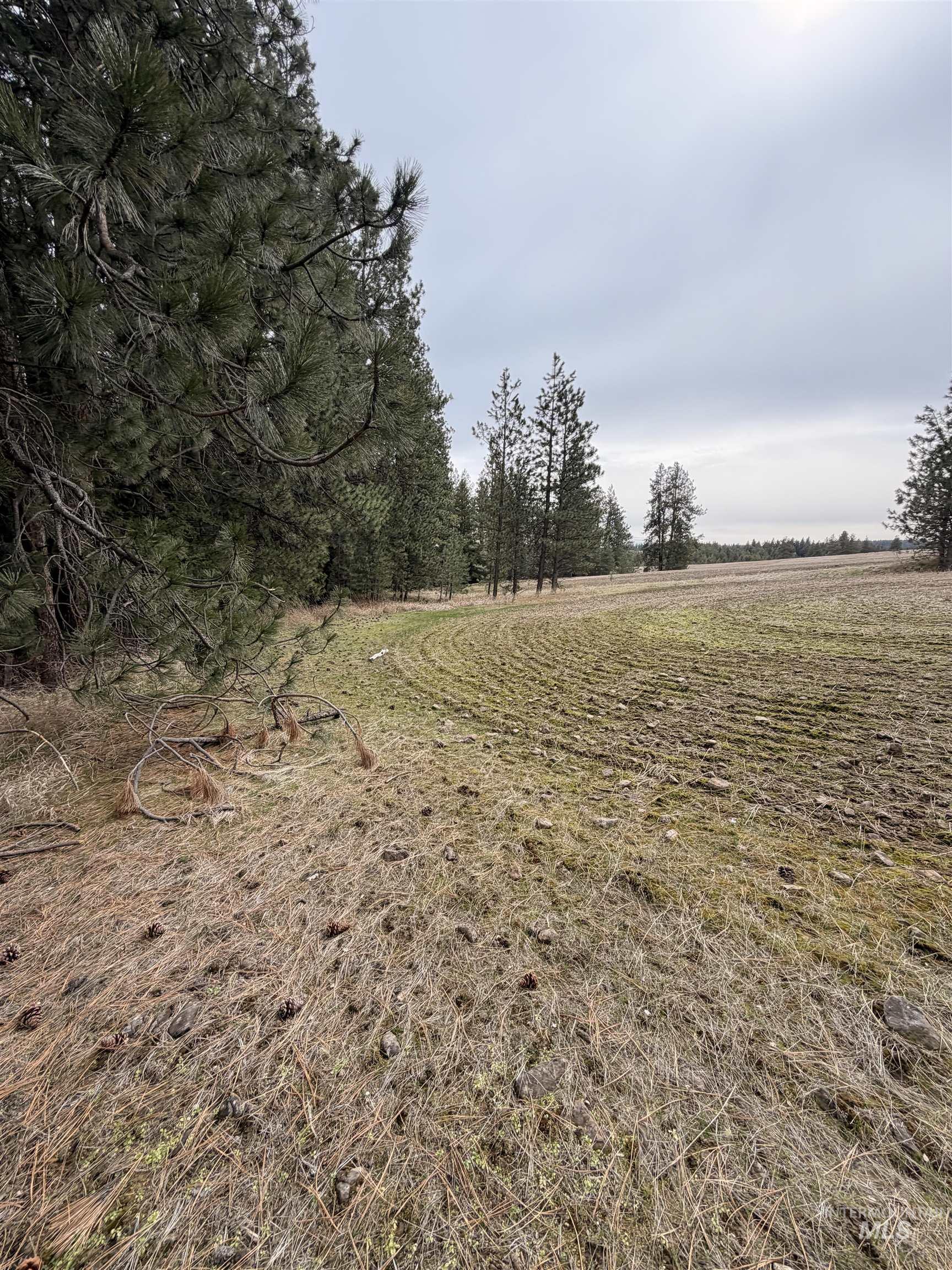 Tbd Sandhill Rd Property Photo 20