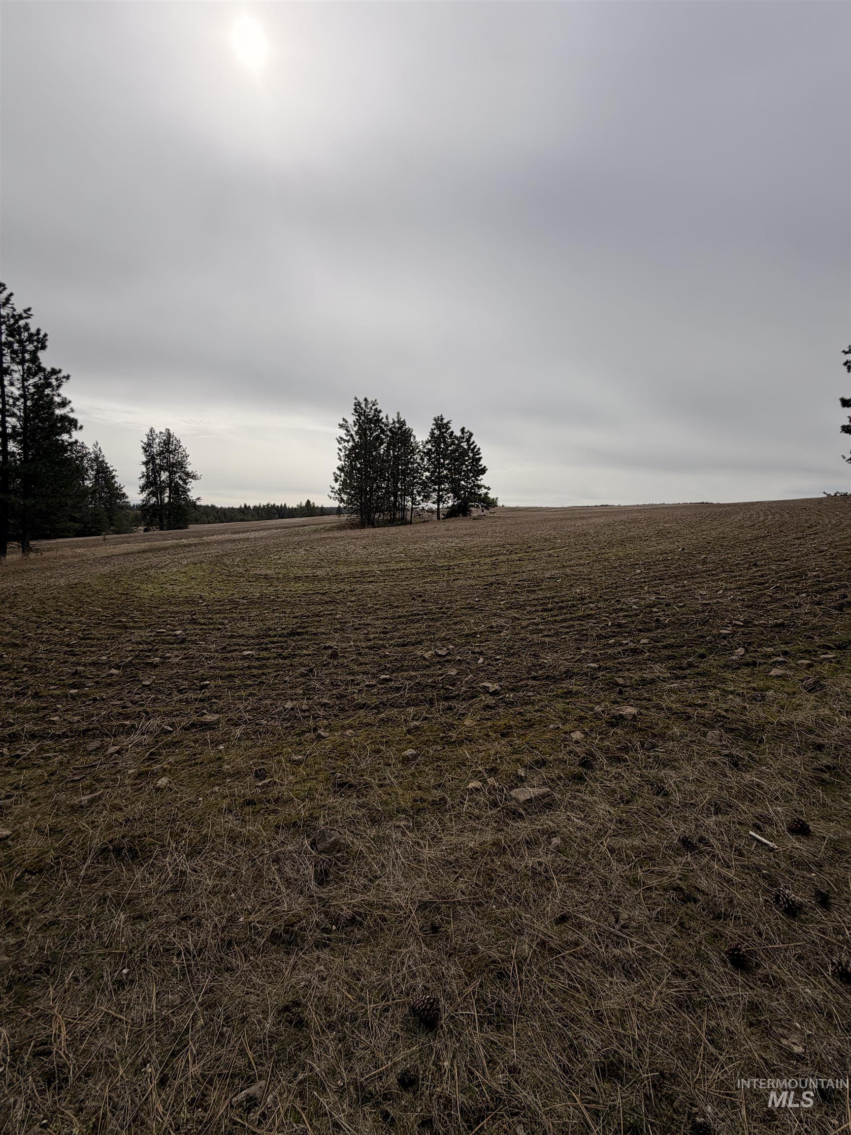 Tbd Sandhill Rd Property Photo 21