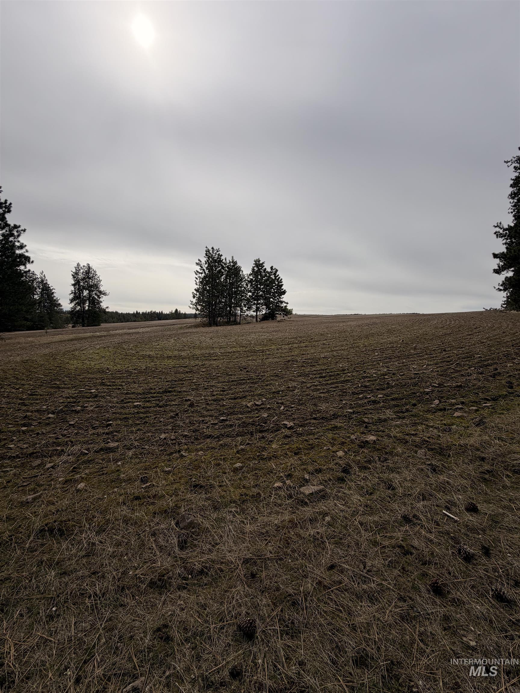 Tbd Sandhill Rd Property Photo 22
