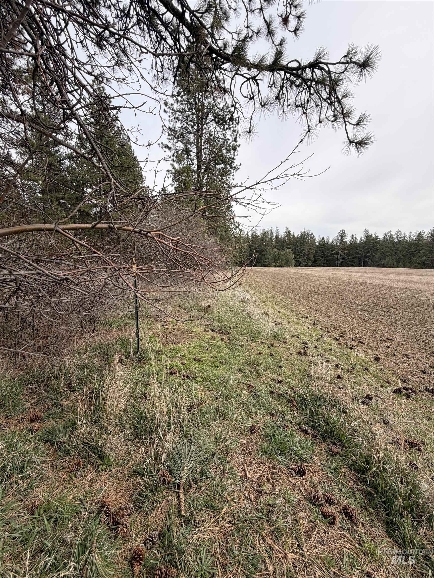 Tbd Sandhill Rd Property Photo 23