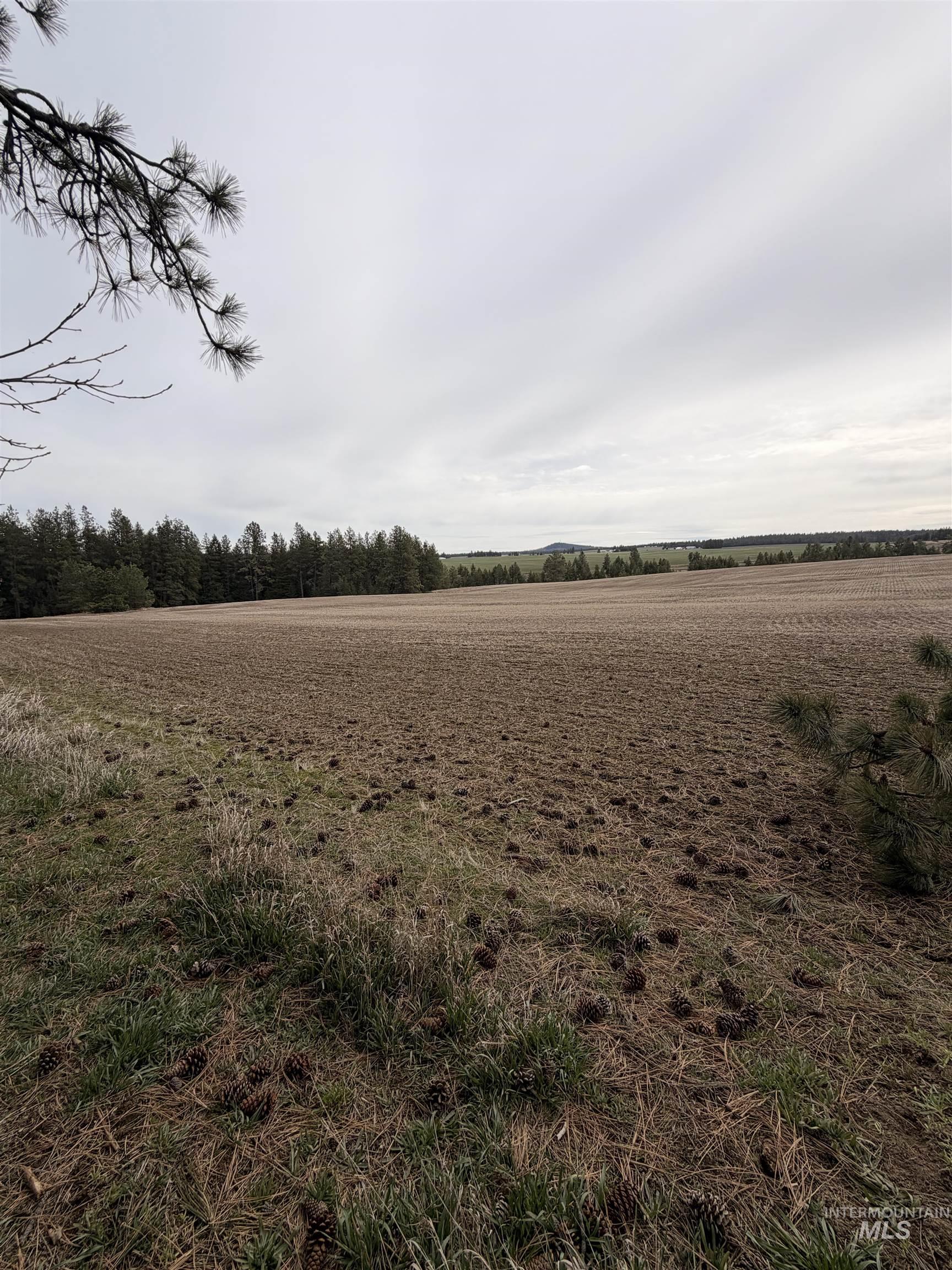Tbd Sandhill Rd Property Photo 24