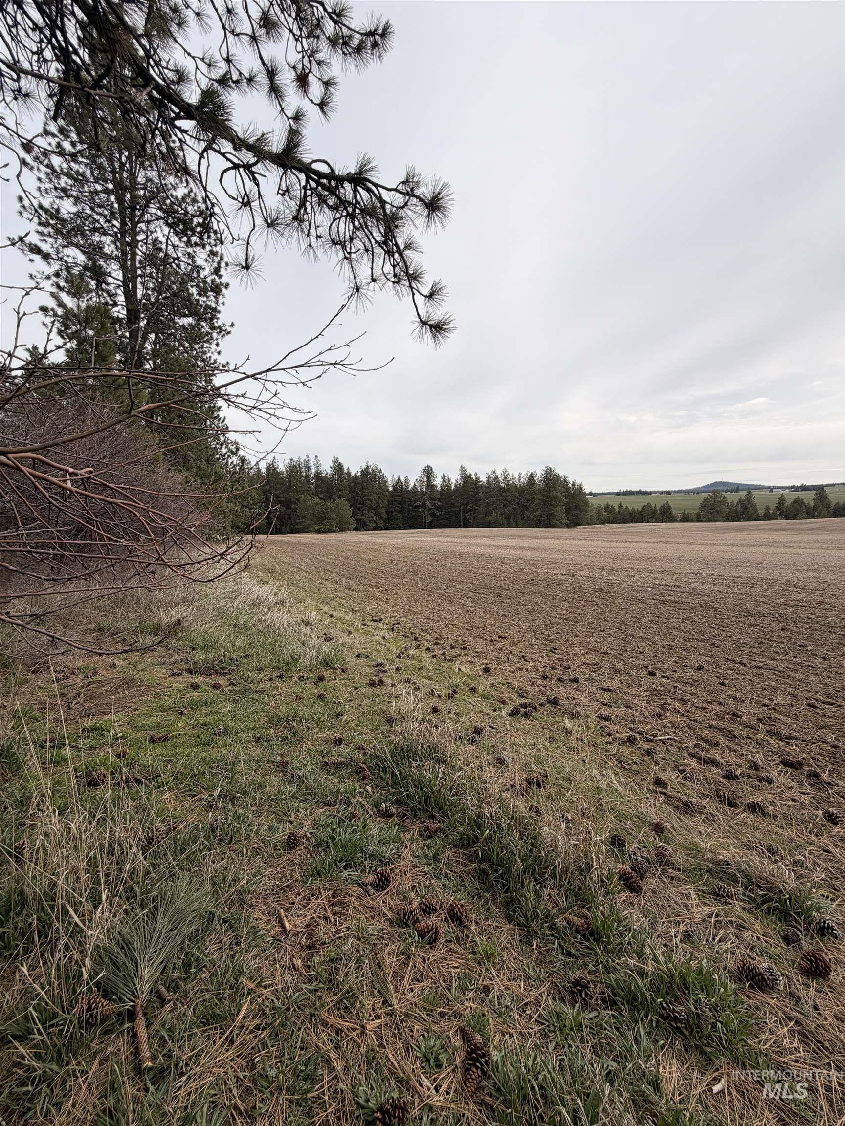 Tbd Sandhill Rd Property Photo 25