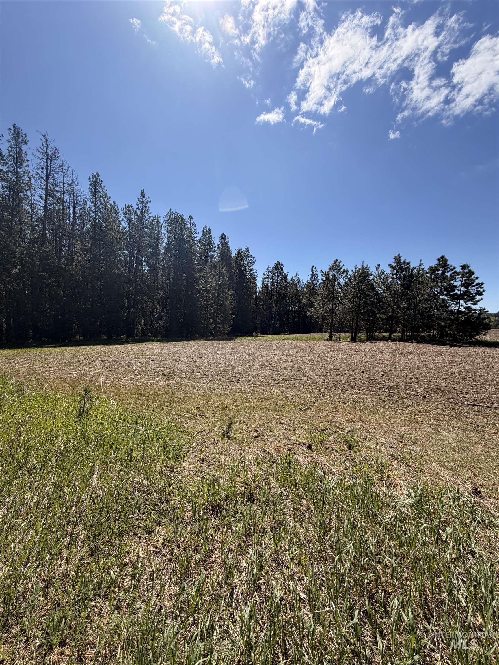 Tbd Sandhill Rd Property Photo 27