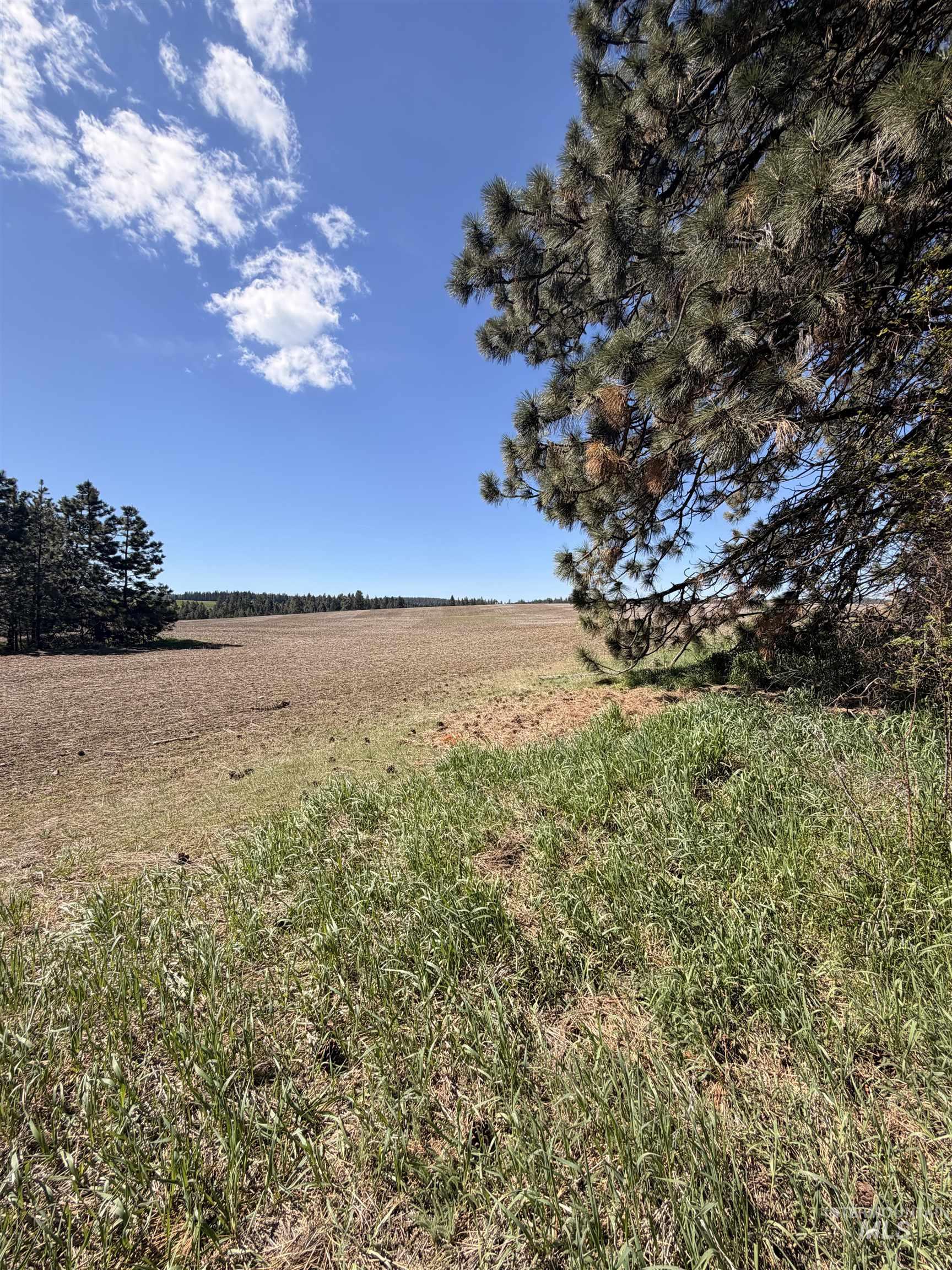 Tbd Sandhill Rd Property Photo 28