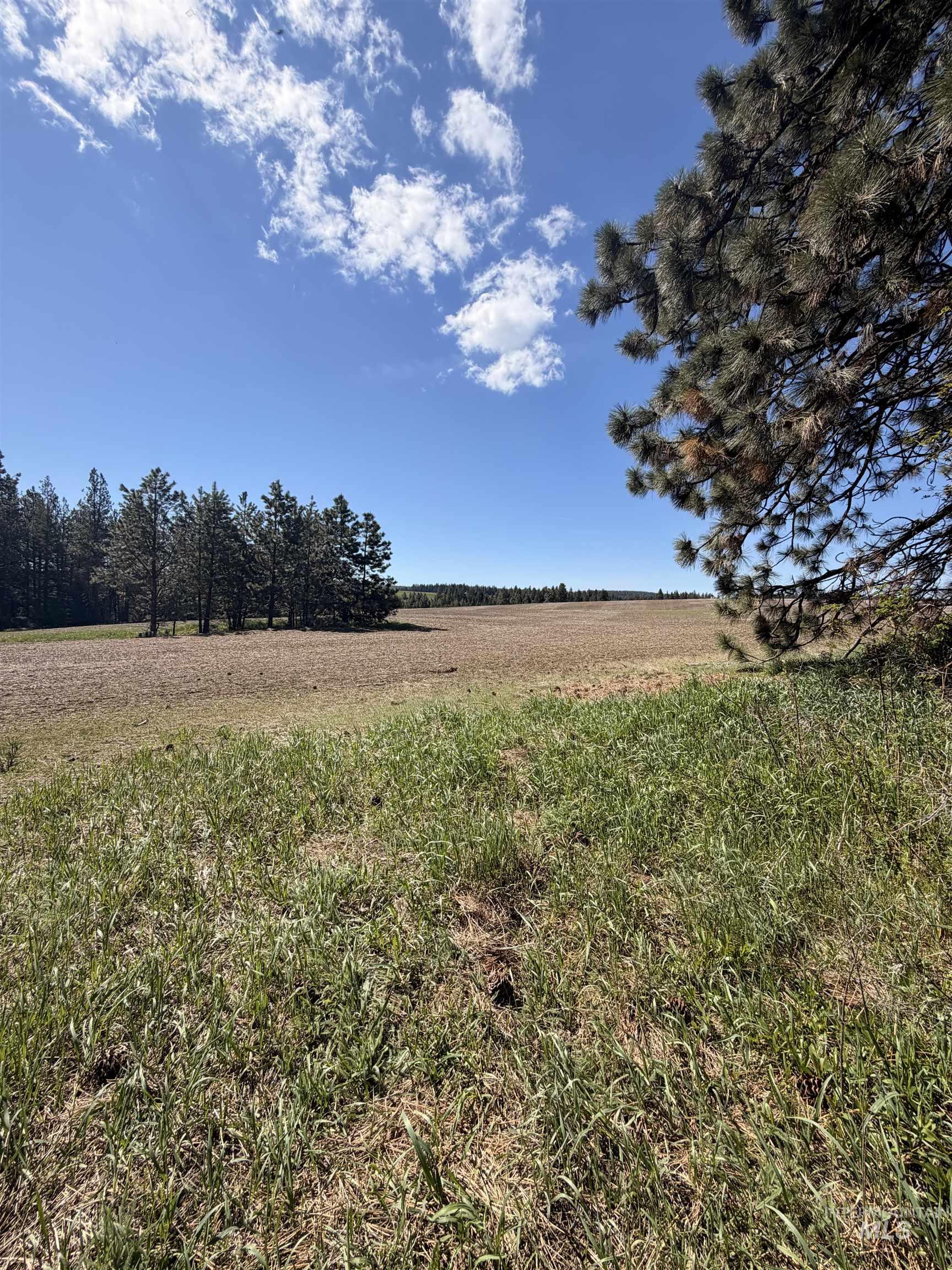 Tbd Sandhill Rd Property Photo 29