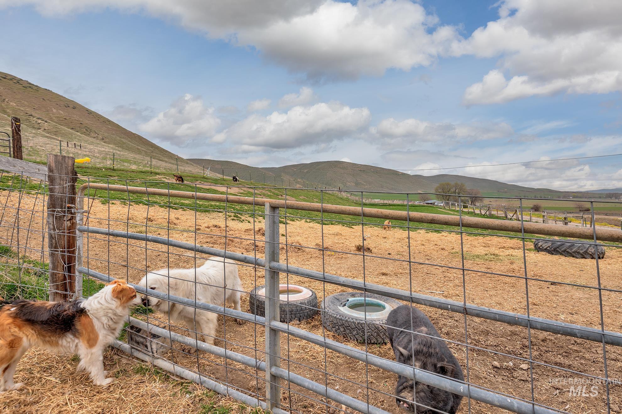 1492 Weiser River Road Property Photo 45
