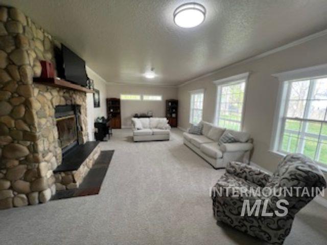 9022 Highway 44 Property Photo 6