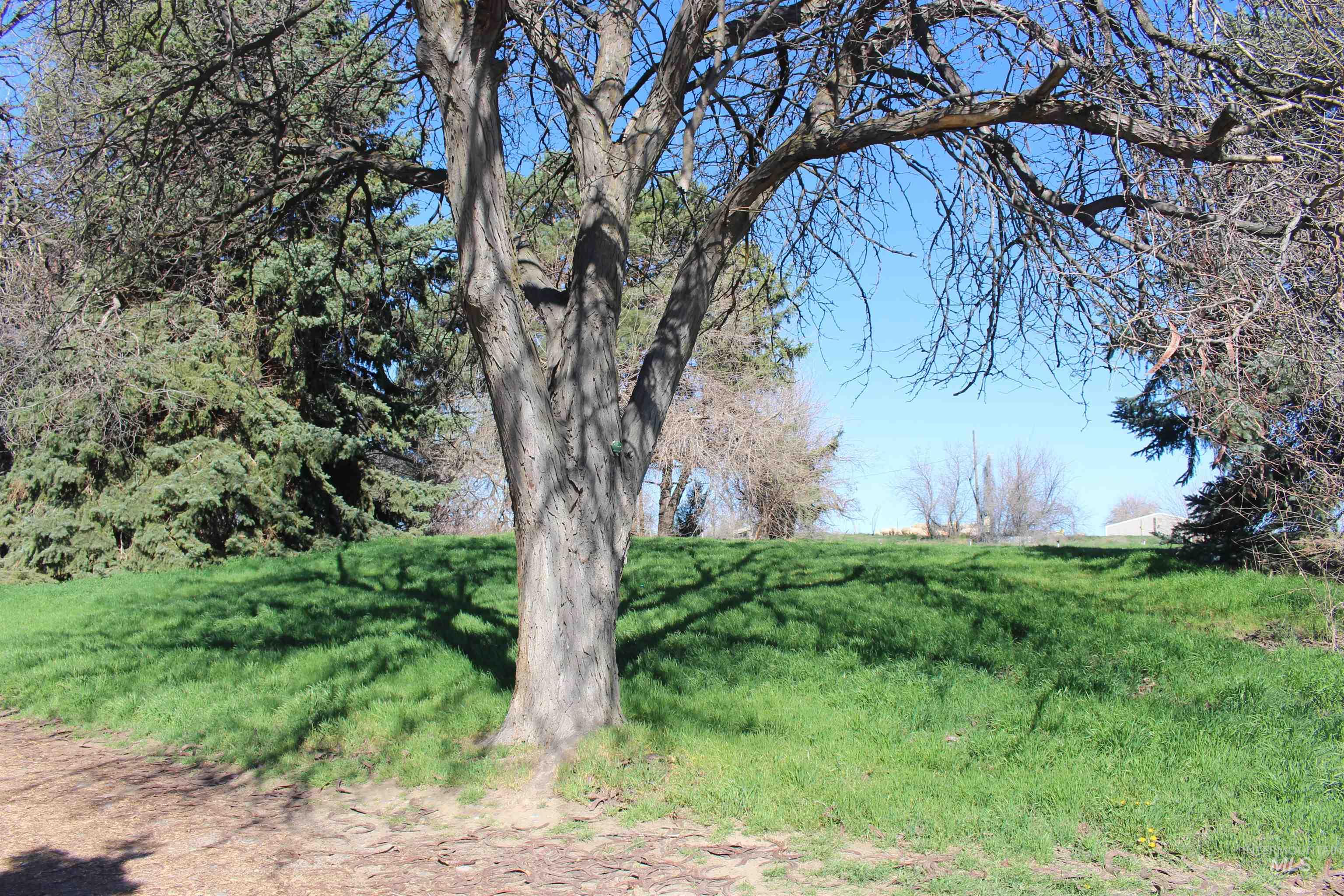 Tbd Highway 95 Property Photo 7