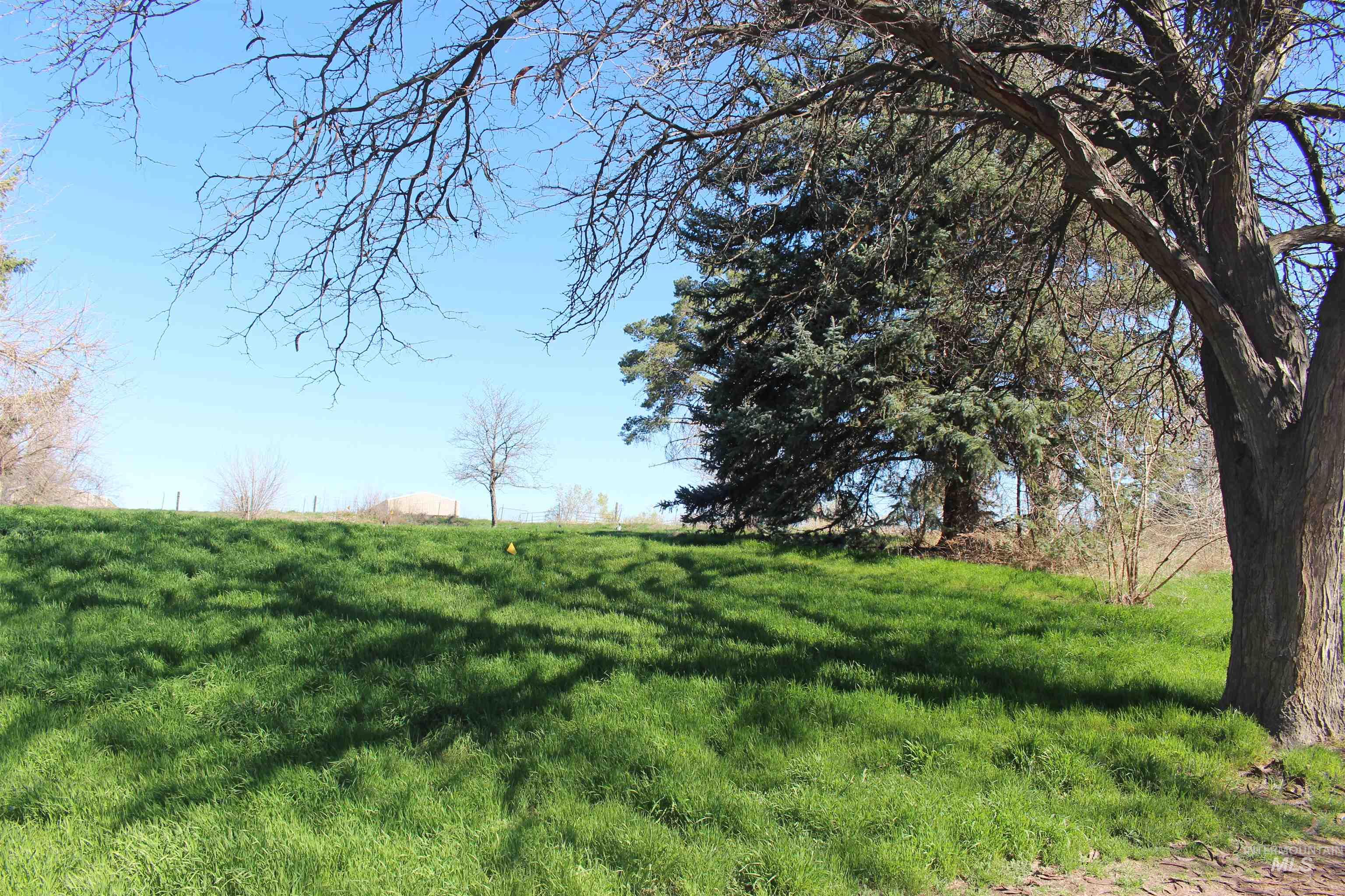 Tbd Highway 95 Property Photo 8