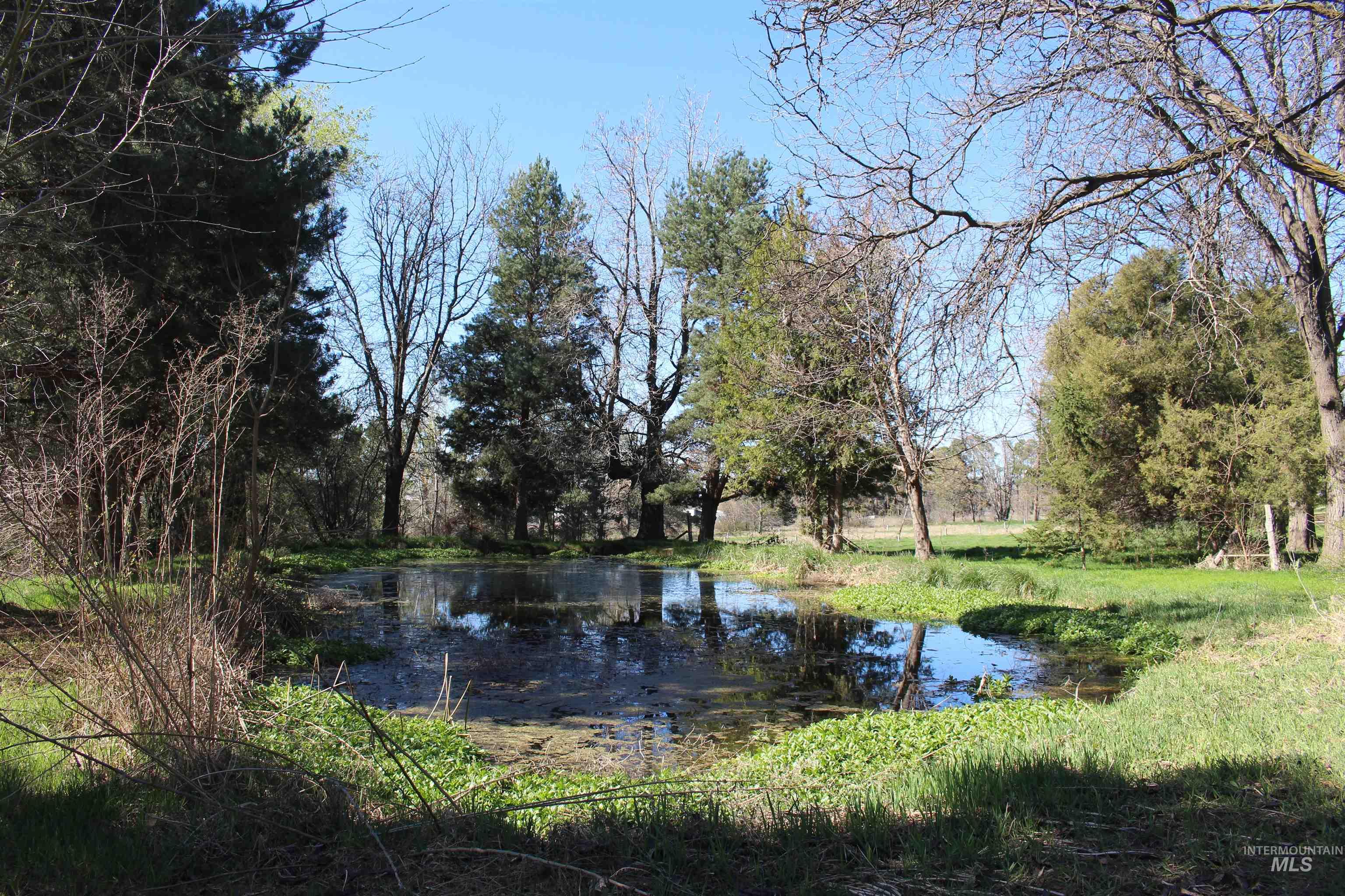 Tbd Highway 95 Property Photo 10