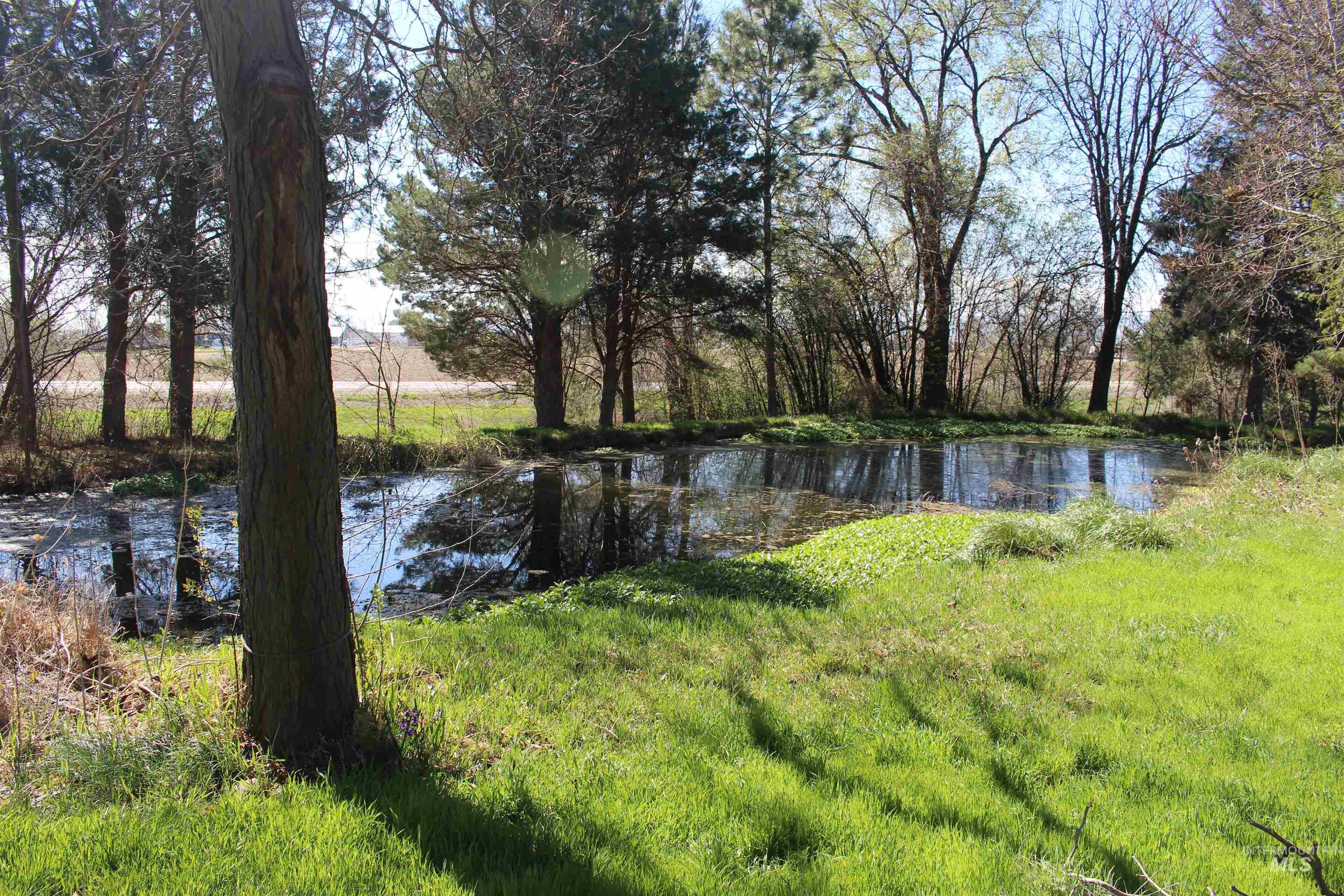 Tbd Highway 95 Property Photo 11