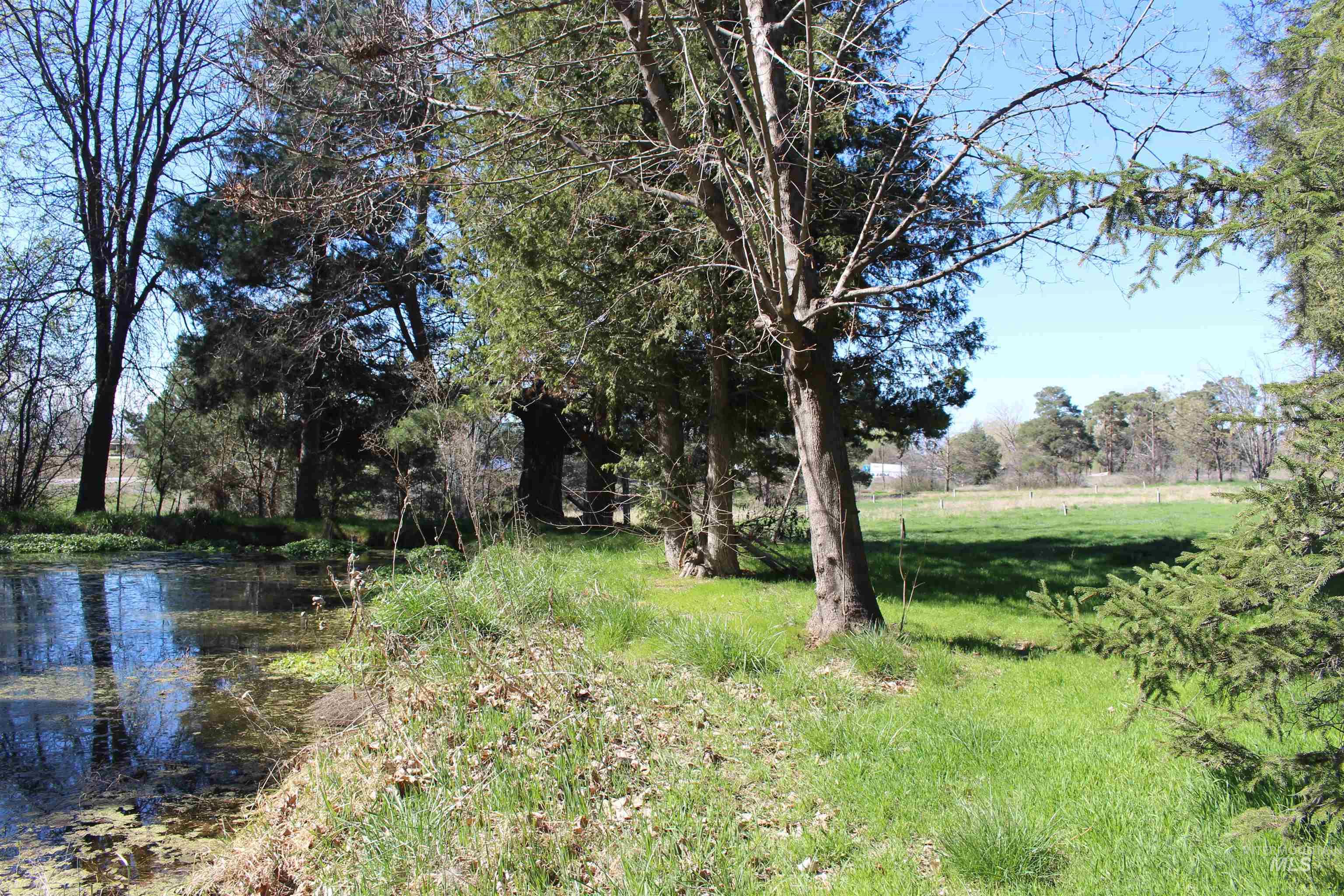 Tbd Highway 95 Property Photo 15
