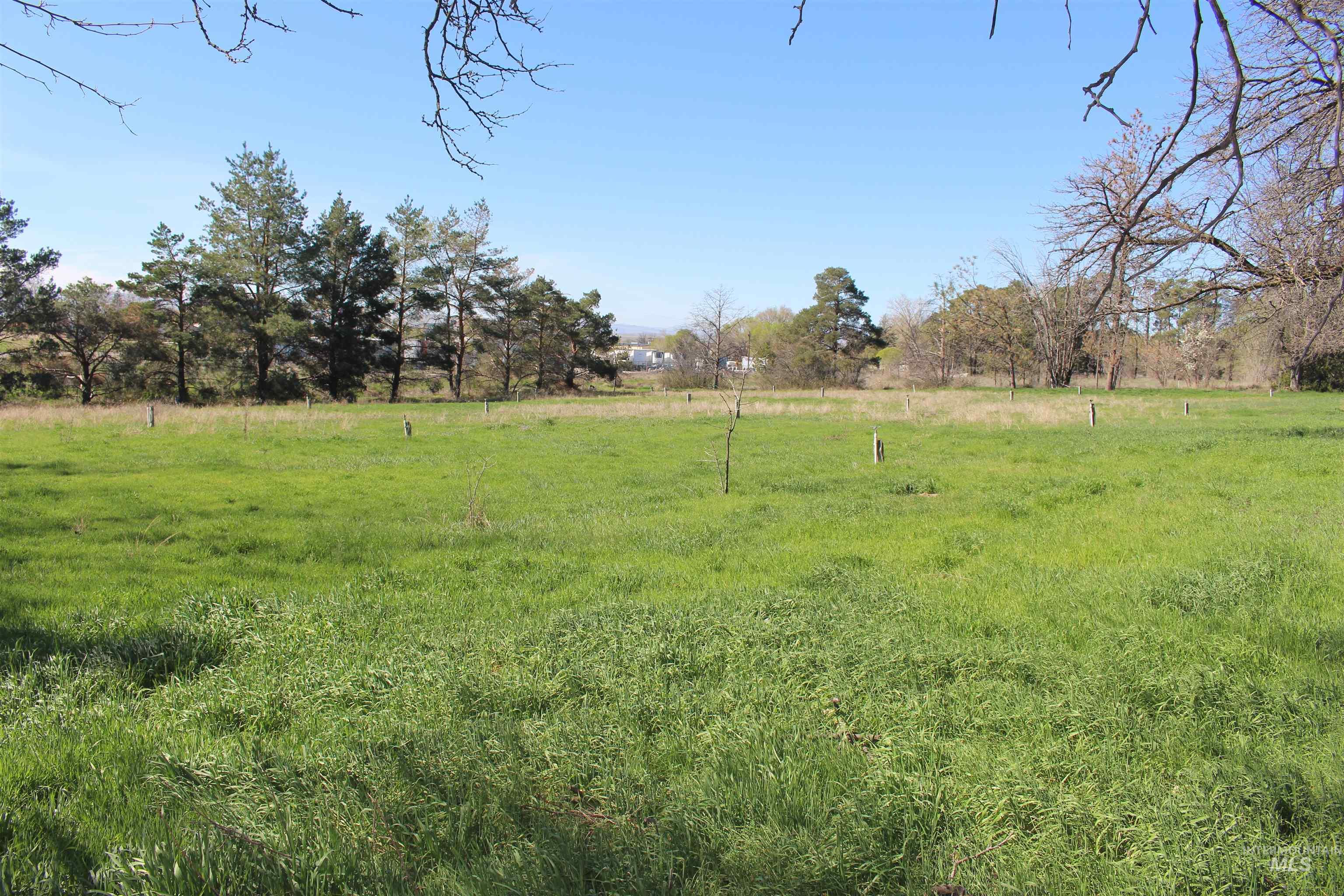 Tbd Highway 95 Property Photo 18