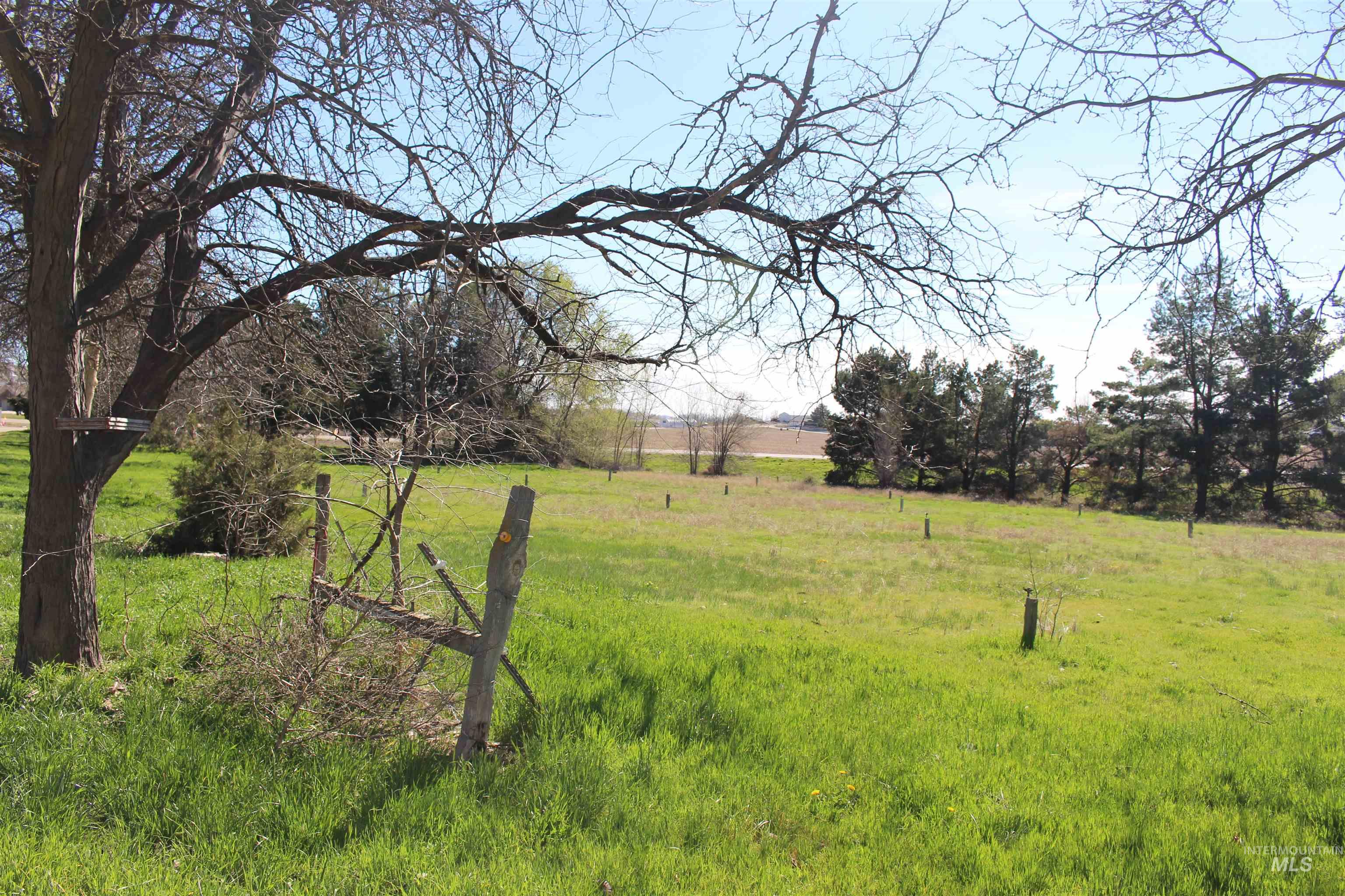 Tbd Highway 95 Property Photo 19