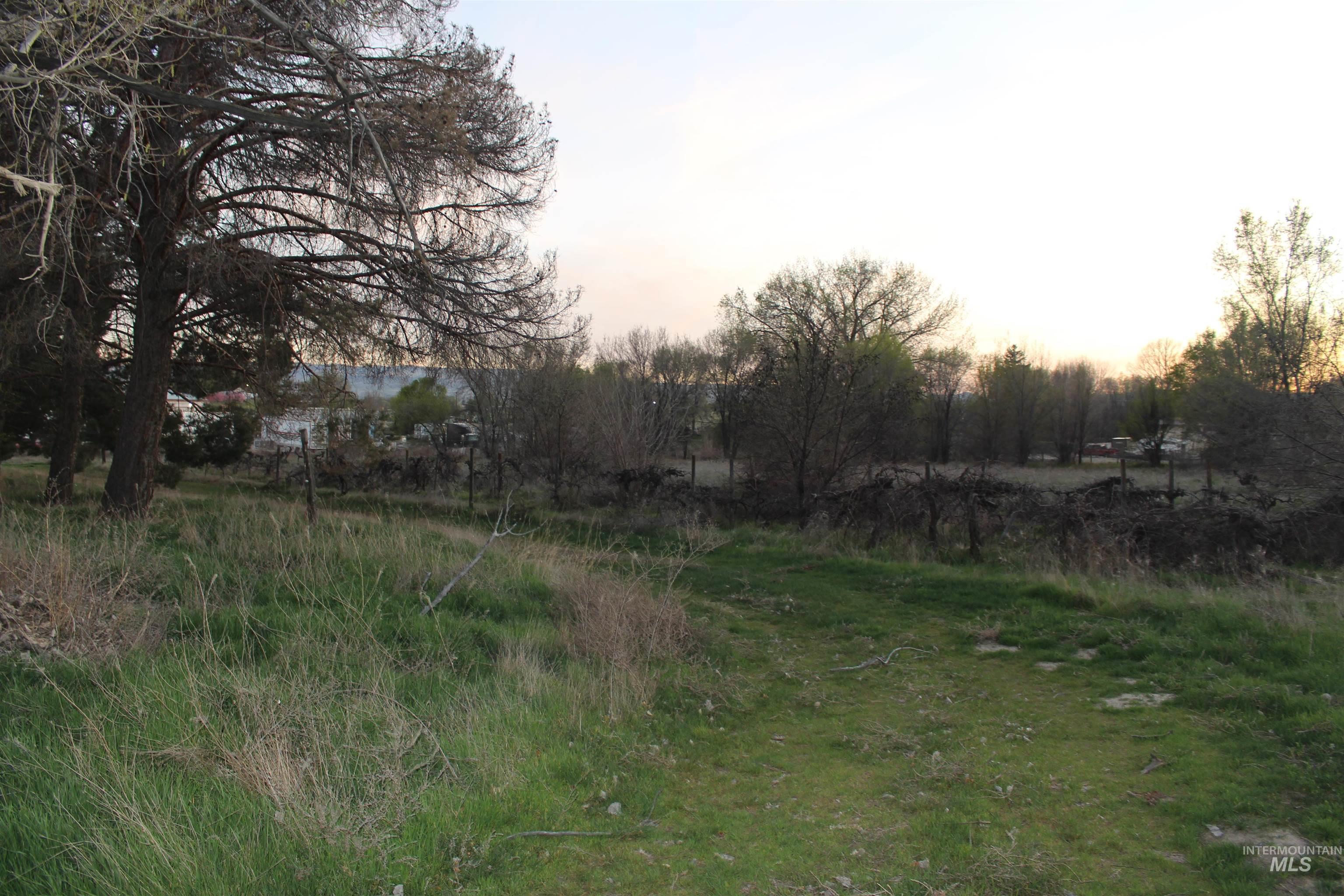 Tbd Highway 95 Property Photo 27
