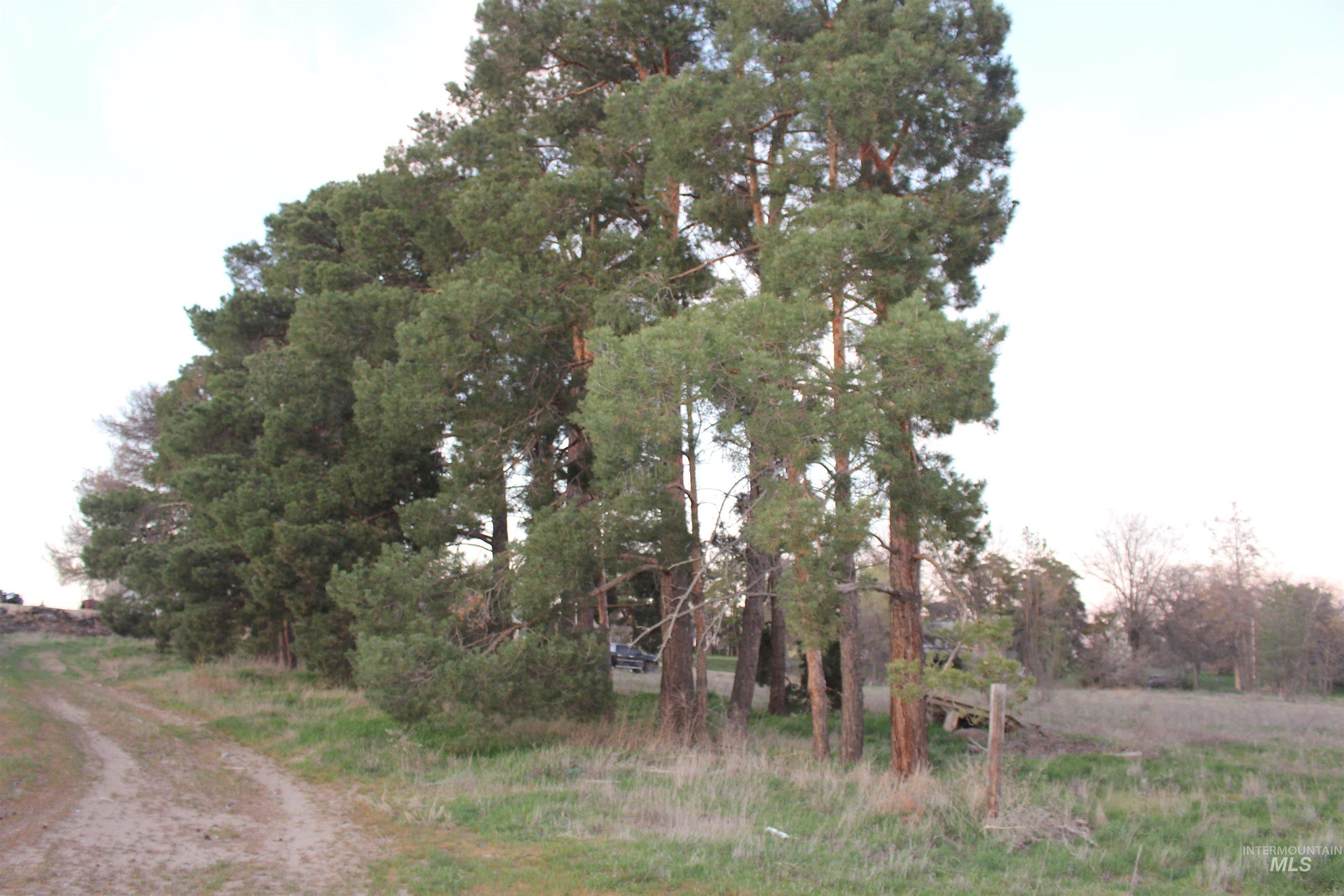 Tbd Highway 95 Property Photo 28