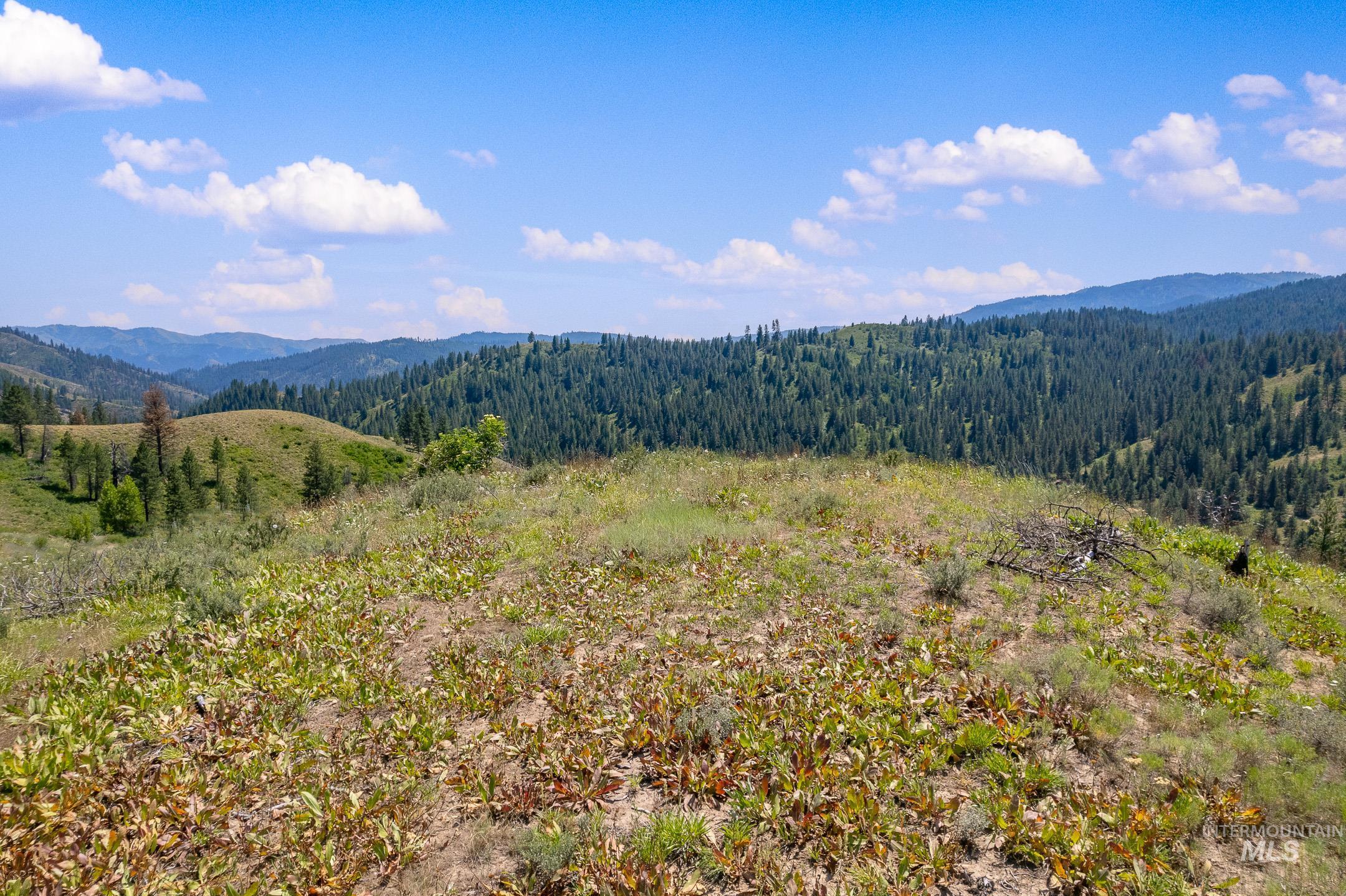 Tbd Walker Lane Property Photo 2