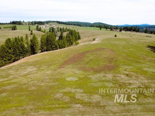 1188 Kidder Ridge Property Photo 3