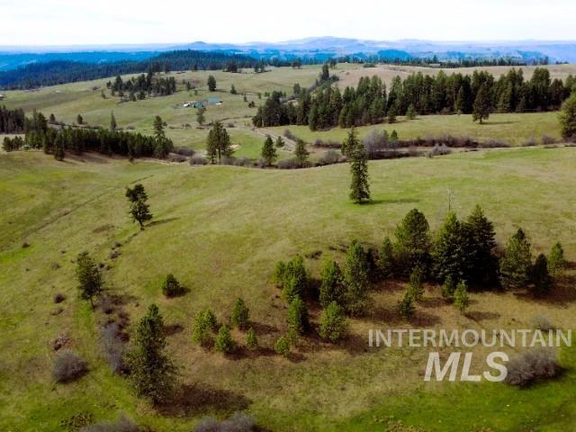1188 Kidder Ridge Property Photo 4