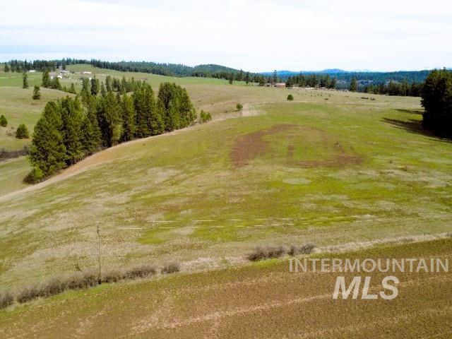 1188 Kidder Ridge Property Photo 5