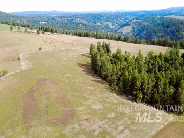 1188 Kidder Ridge Property Photo 6