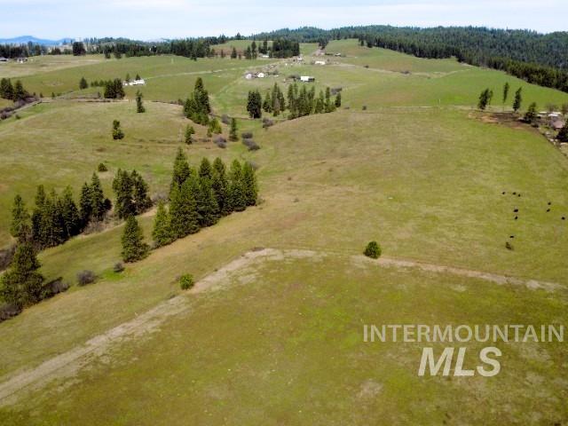 1188 Kidder Ridge Property Photo 7