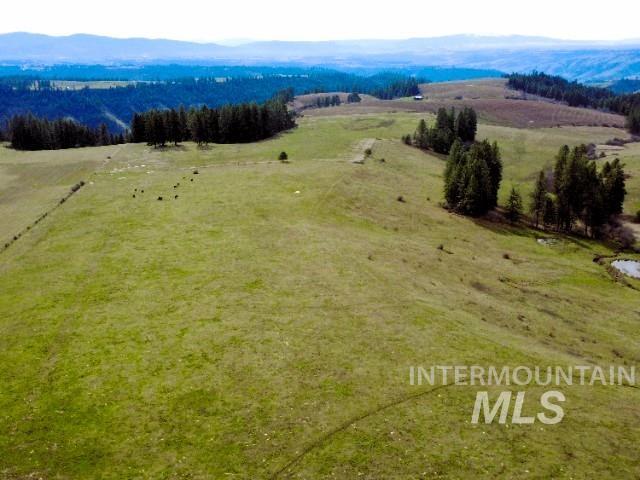 1188 Kidder Ridge Property Photo 10
