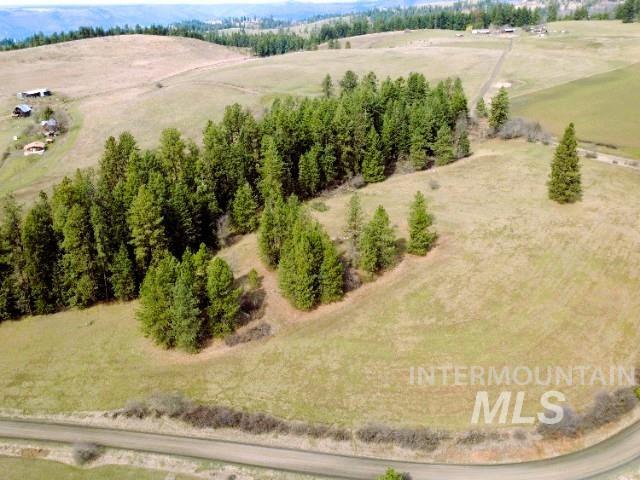 1188 Kidder Ridge Property Photo 14
