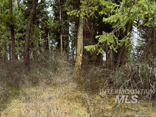 1188 Kidder Ridge Property Photo 23