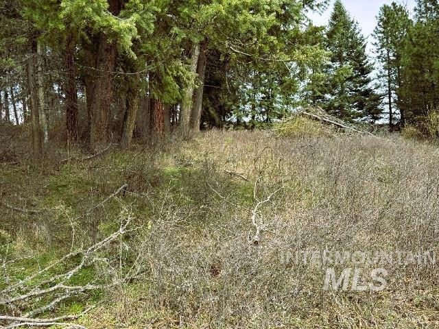 1188 Kidder Ridge Property Photo 24