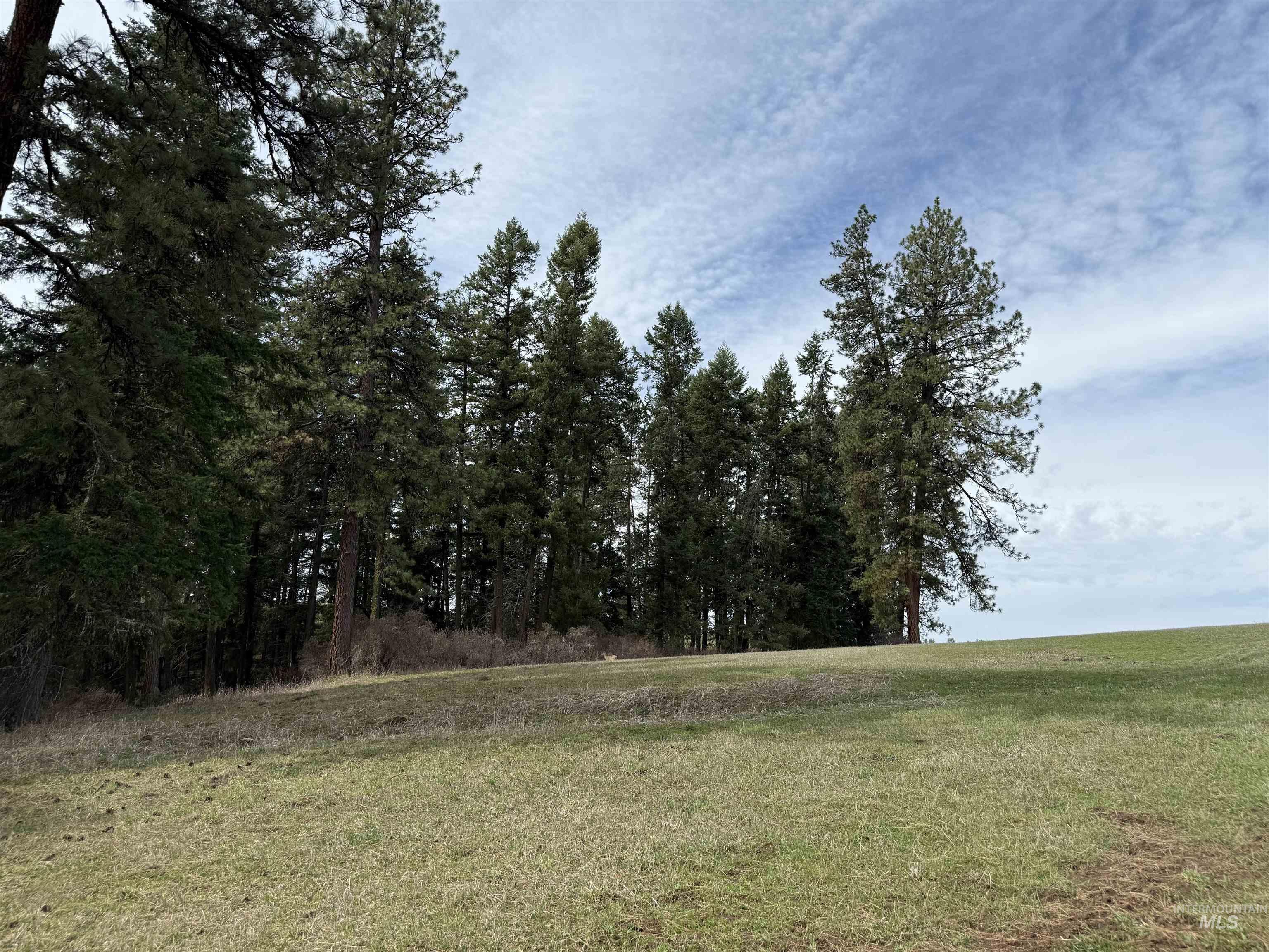 1188 Kidder Ridge Property Photo 32