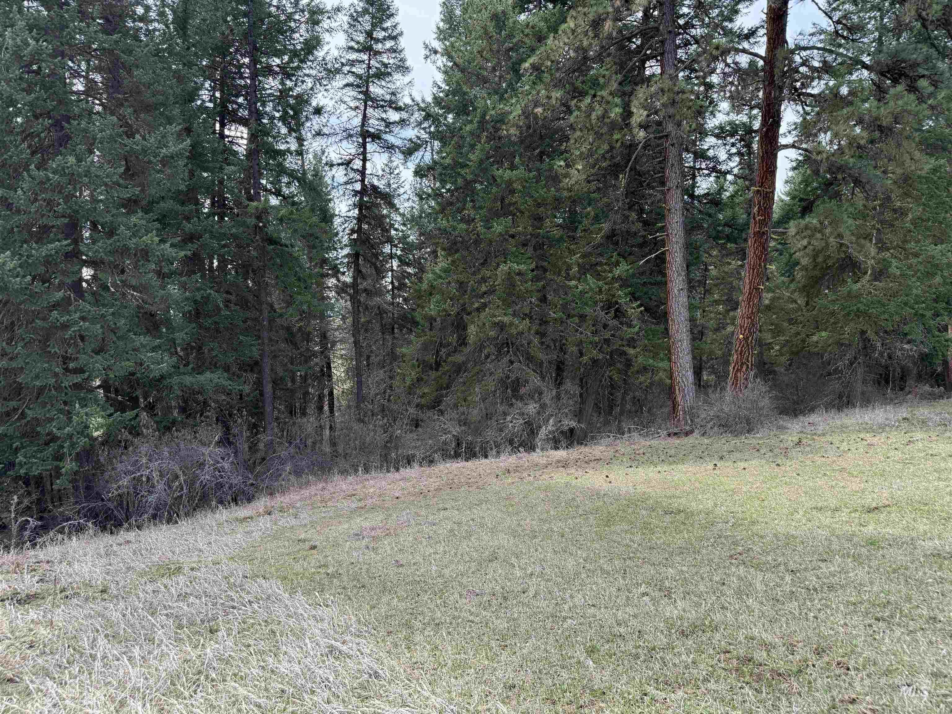 1188 Kidder Ridge Property Photo 34