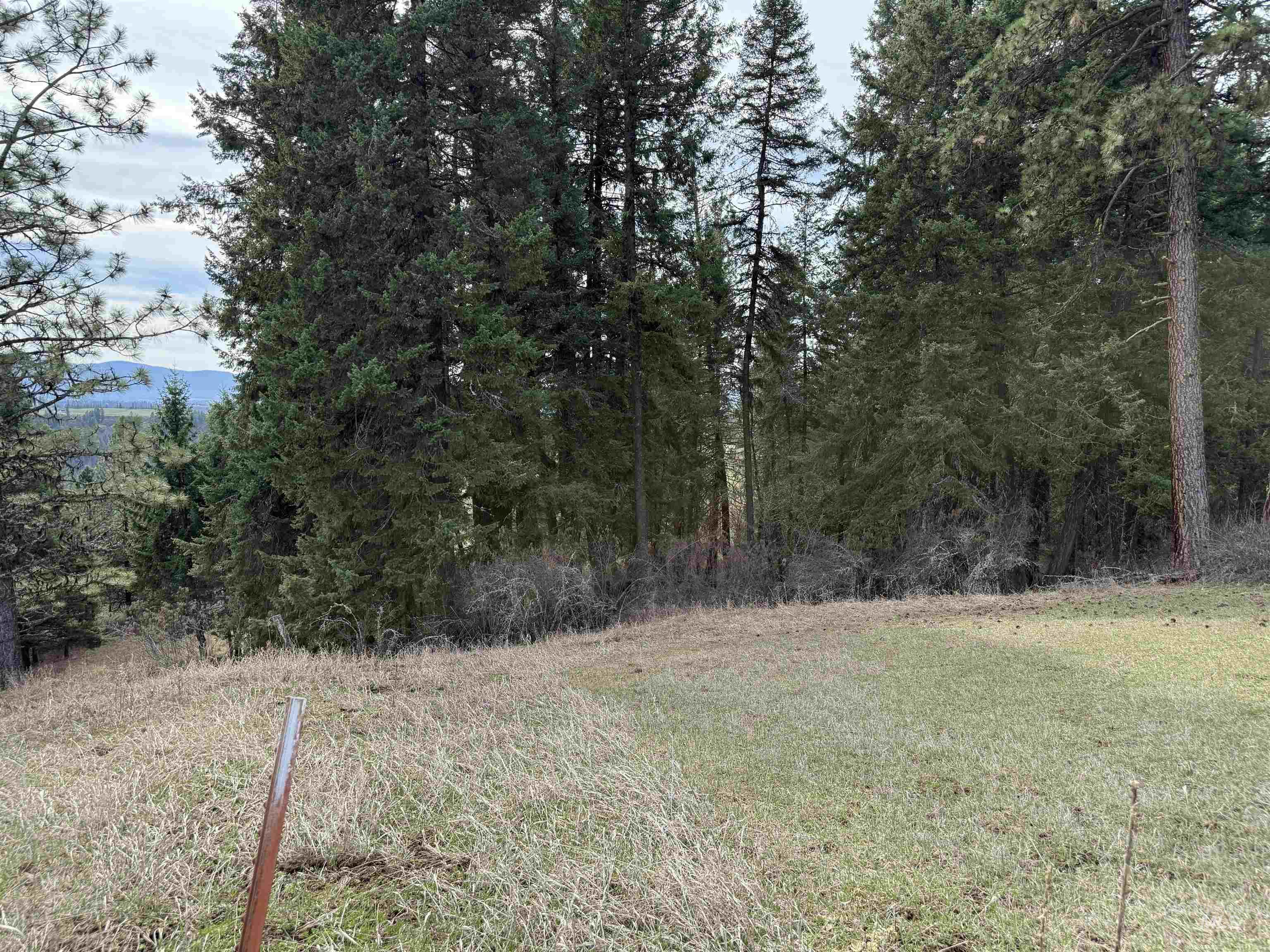 1188 Kidder Ridge Property Photo 35