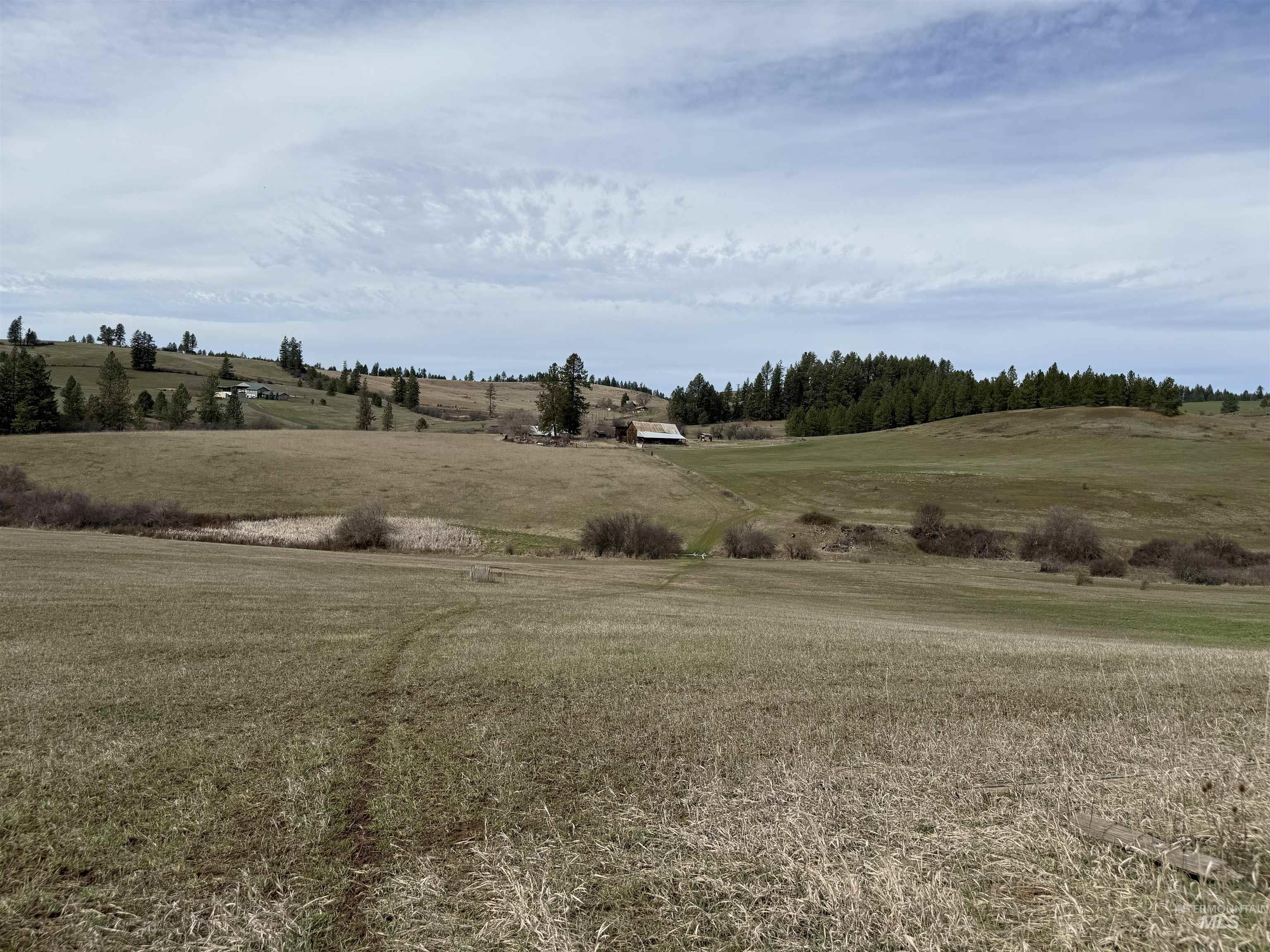 1188 Kidder Ridge Property Photo 39