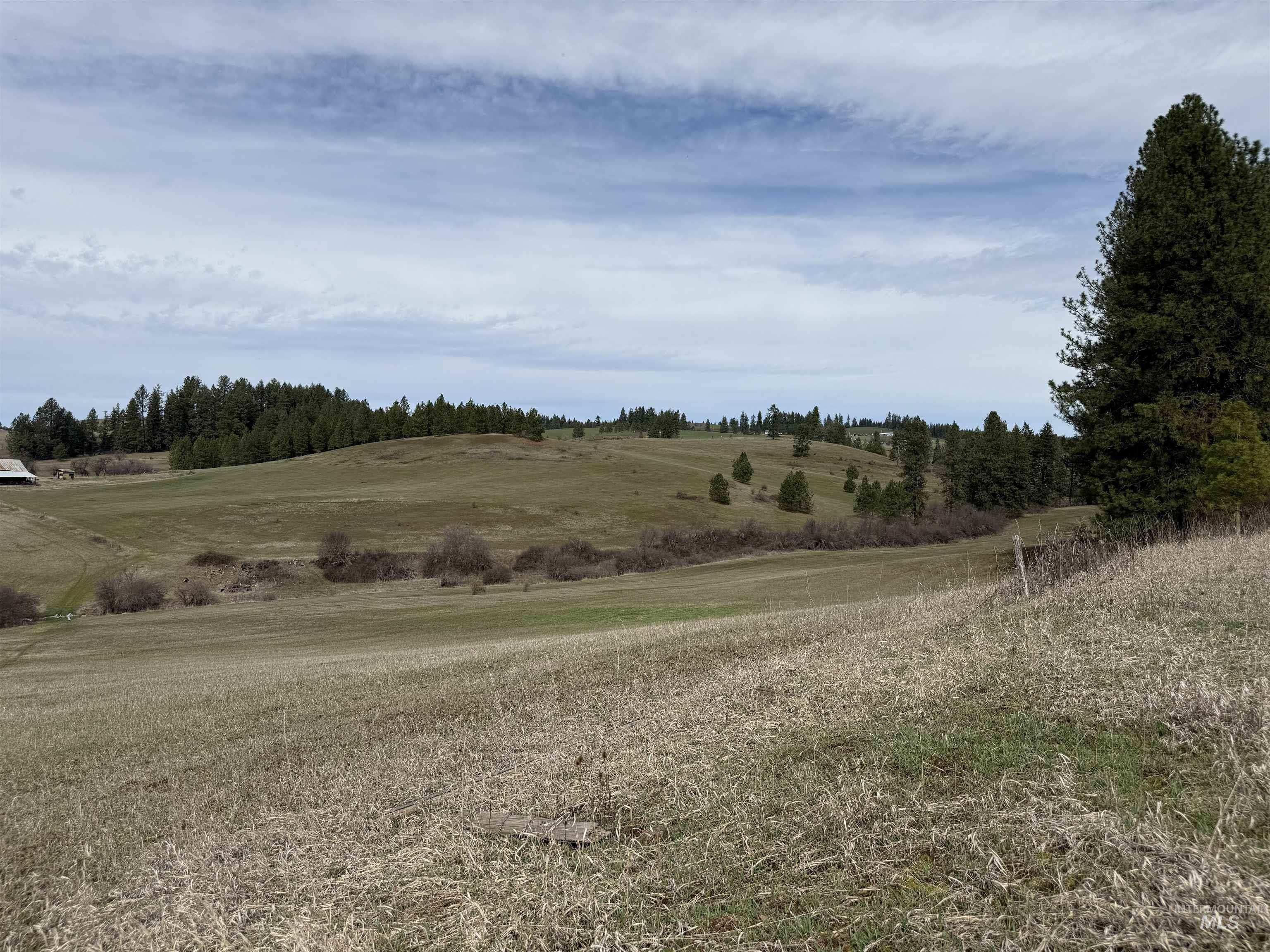 1188 Kidder Ridge Property Photo 40
