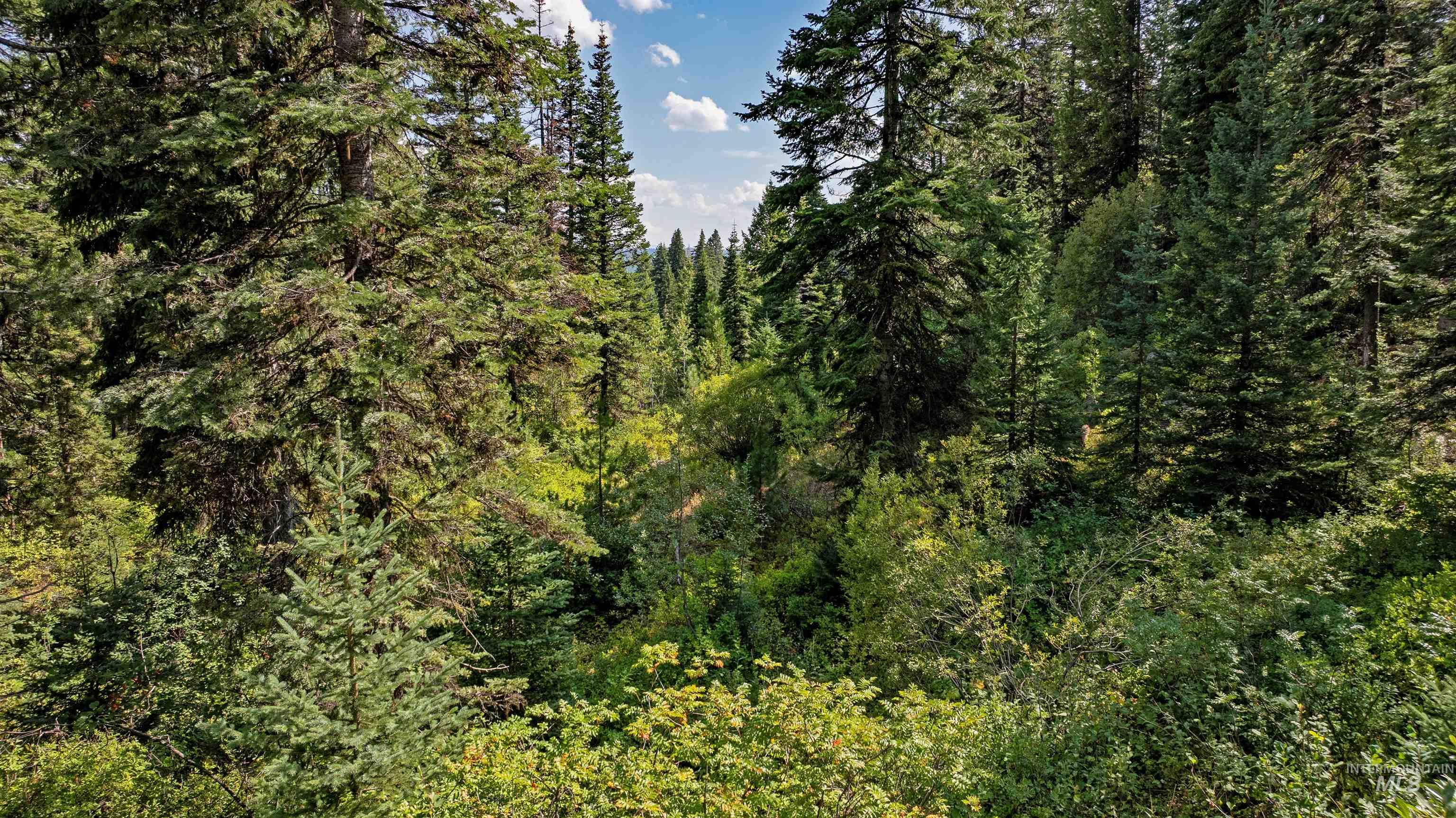 Tbd 2 High Valley Road Property Photo 15
