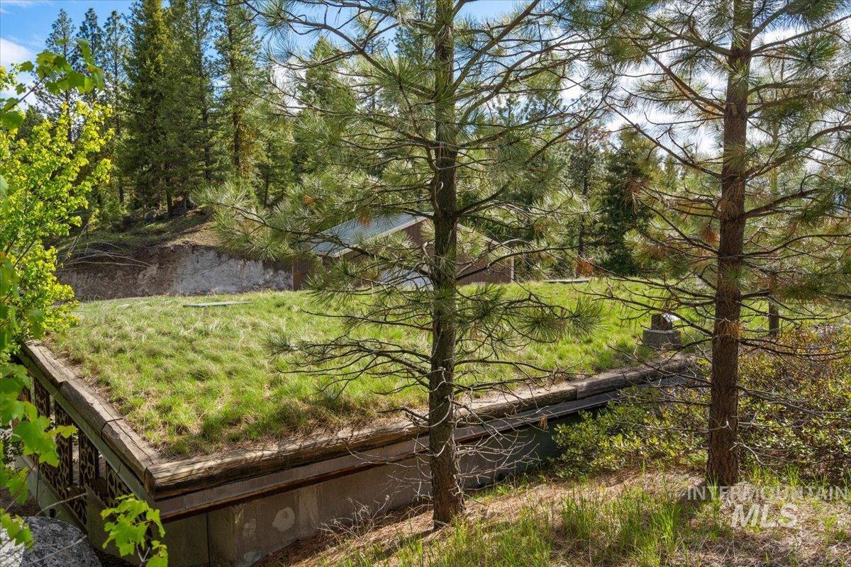 67 Little Donner Drive Property Photo 40