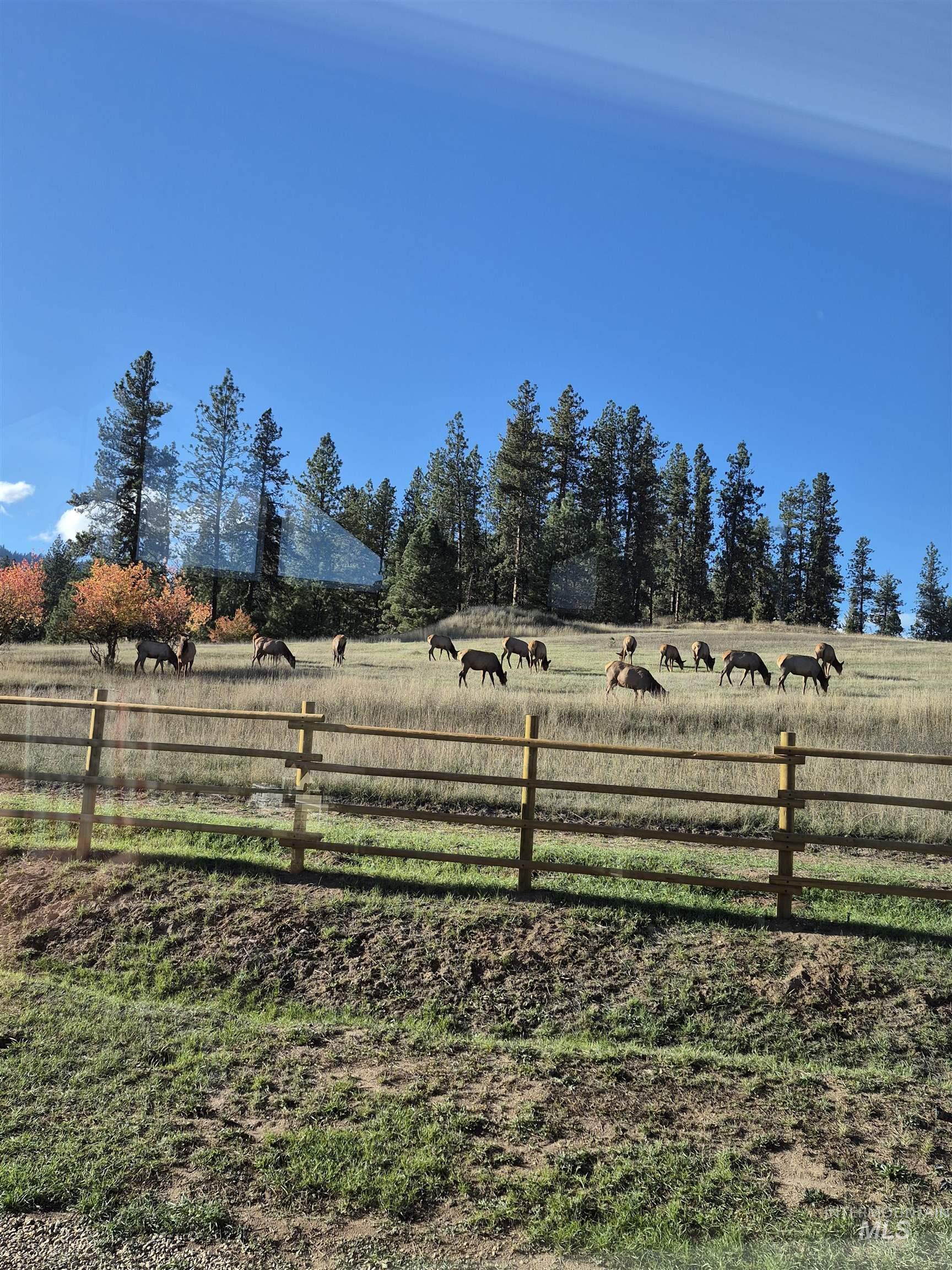 21 Open Road Property Photo 48