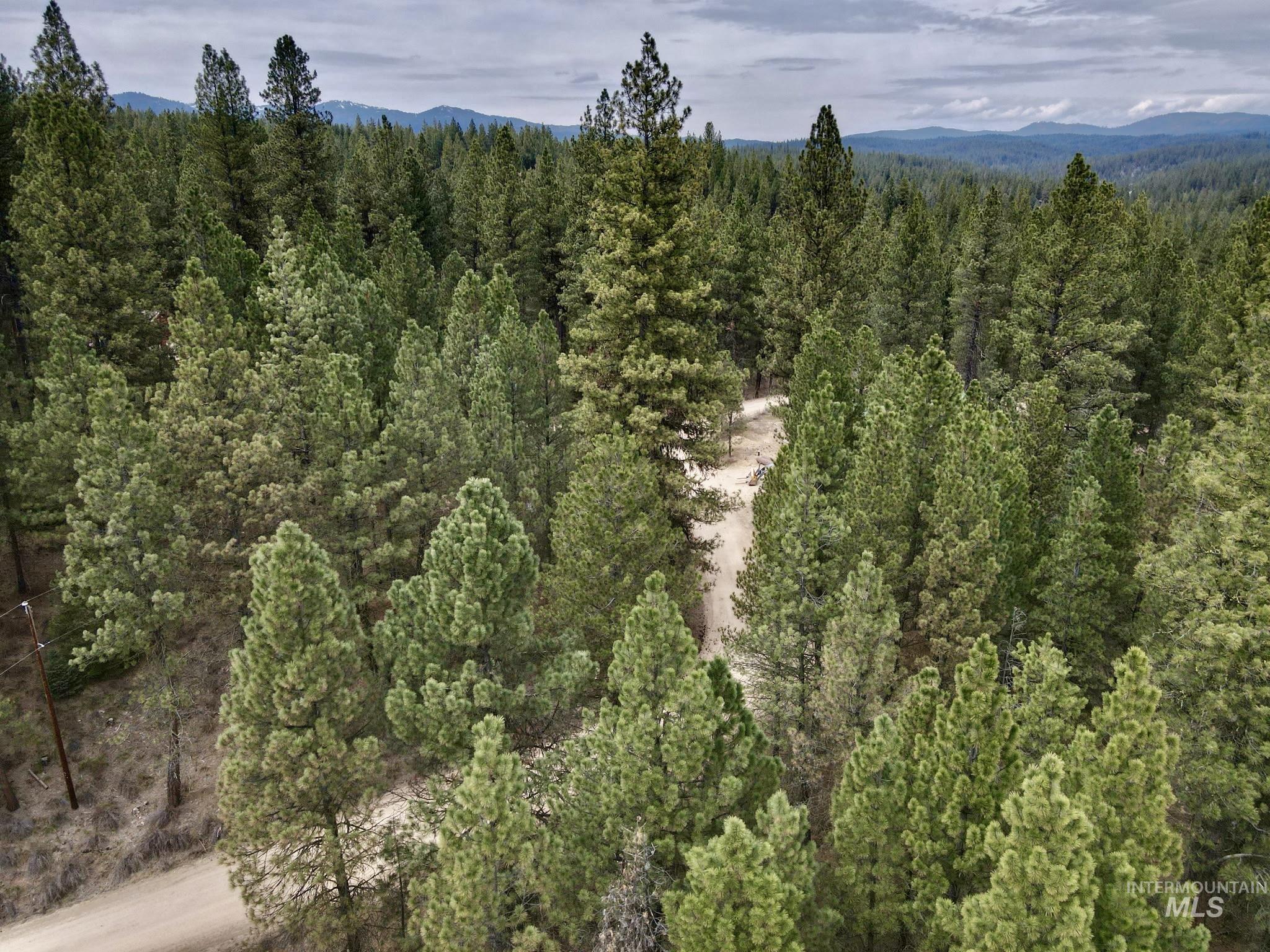 Lot 31 S Meadow Creek Property Photo 6