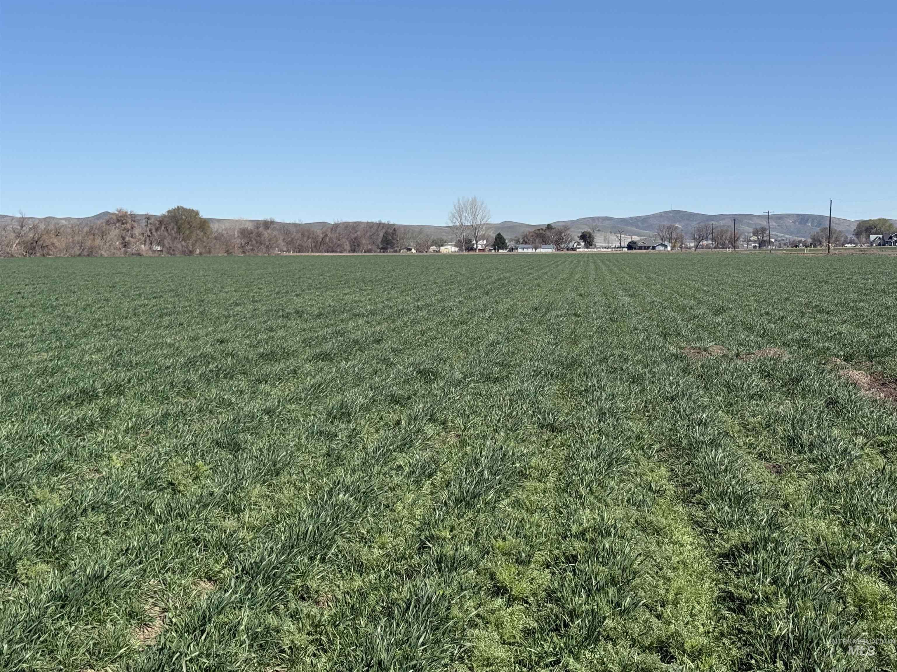 Tbd Ferrel Property Photo 5