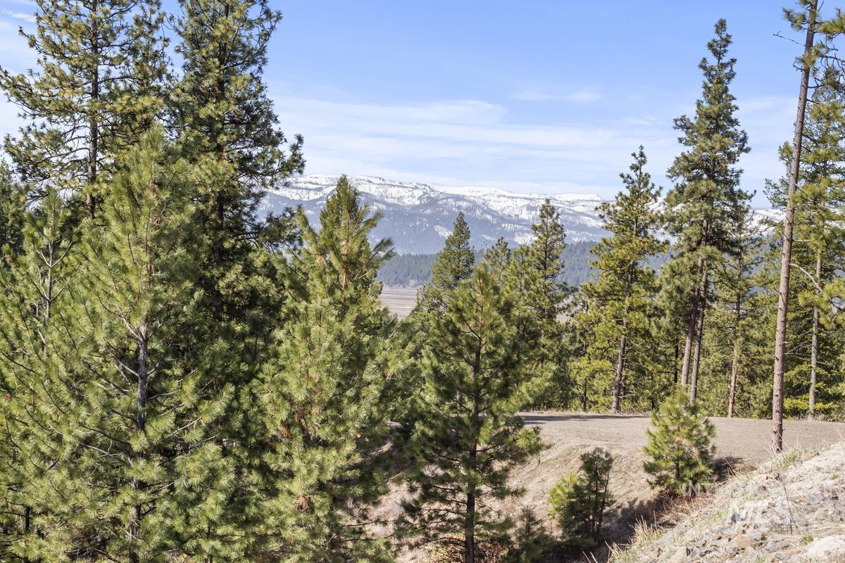 17 Tito Trail Property Photo 3