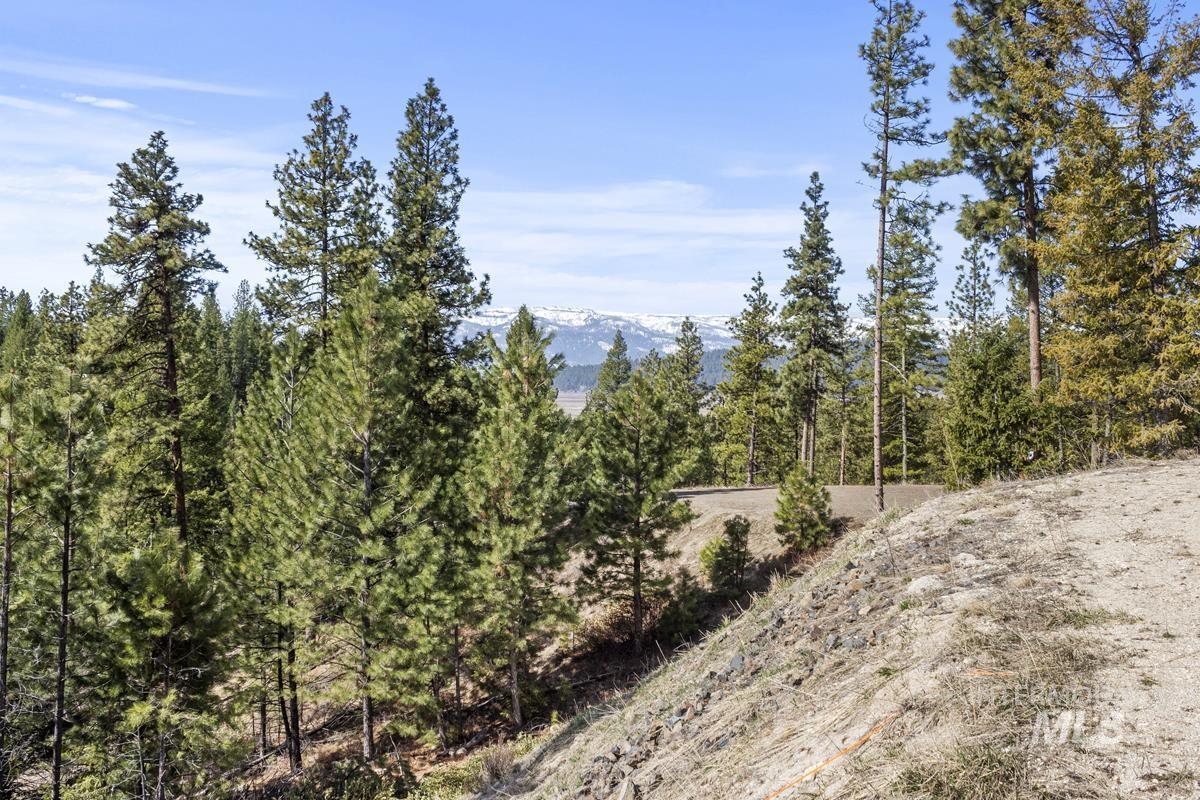 17 Tito Trail Property Photo 5