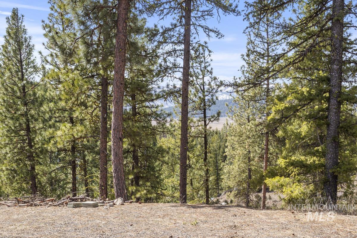 17 Tito Trail Property Photo 7