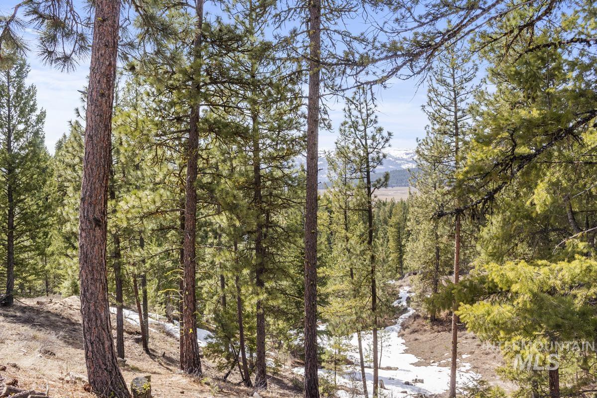 17 Tito Trail Property Photo 13