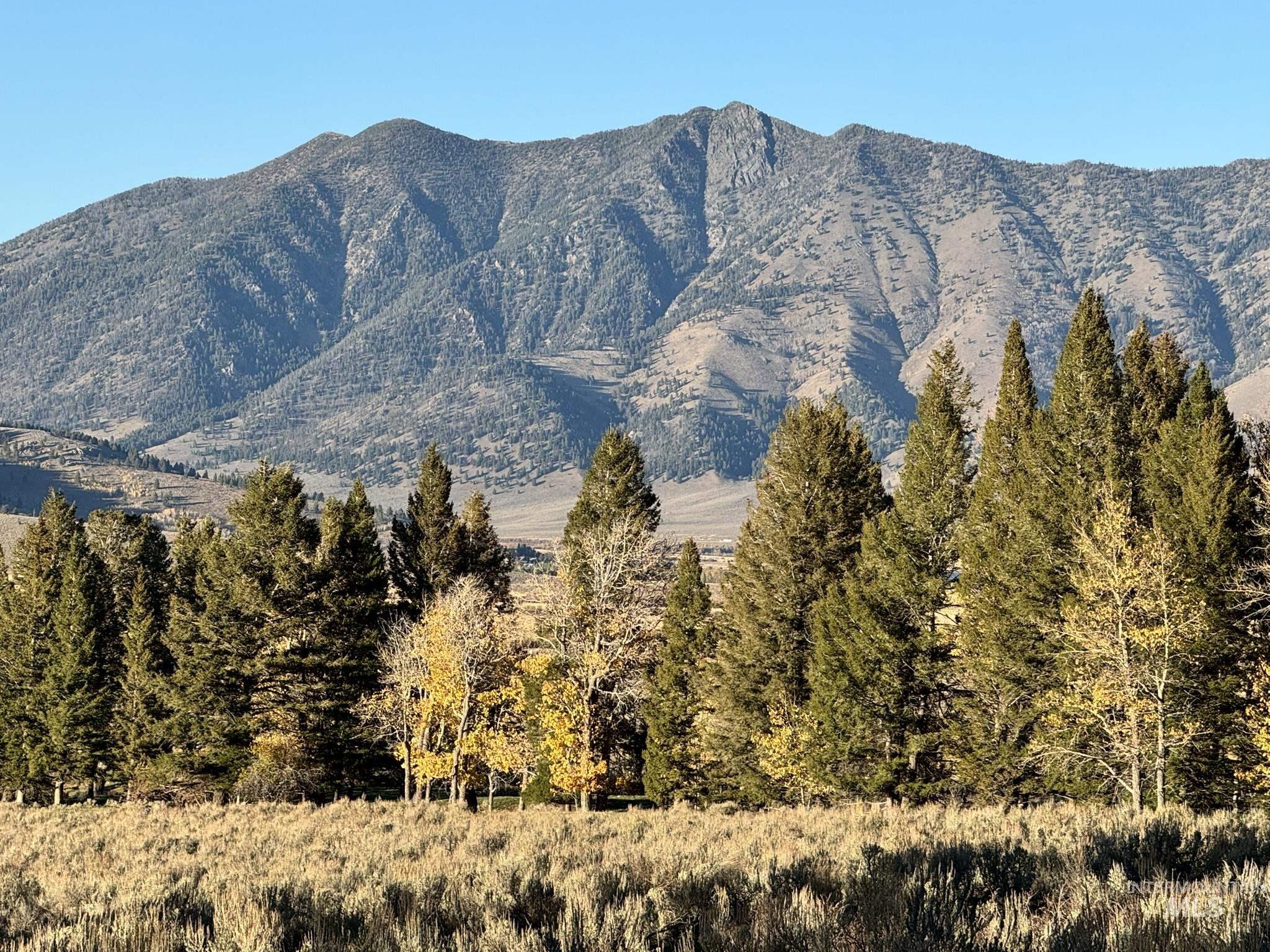 3600 W Red Rock Pass Rd Property Photo 3