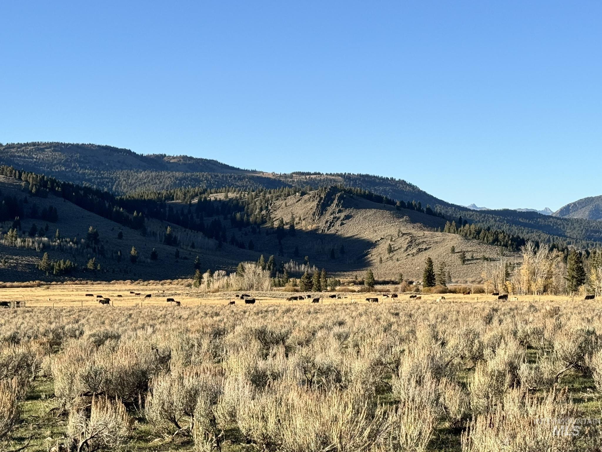 3600 W Red Rock Pass Rd Property Photo 26