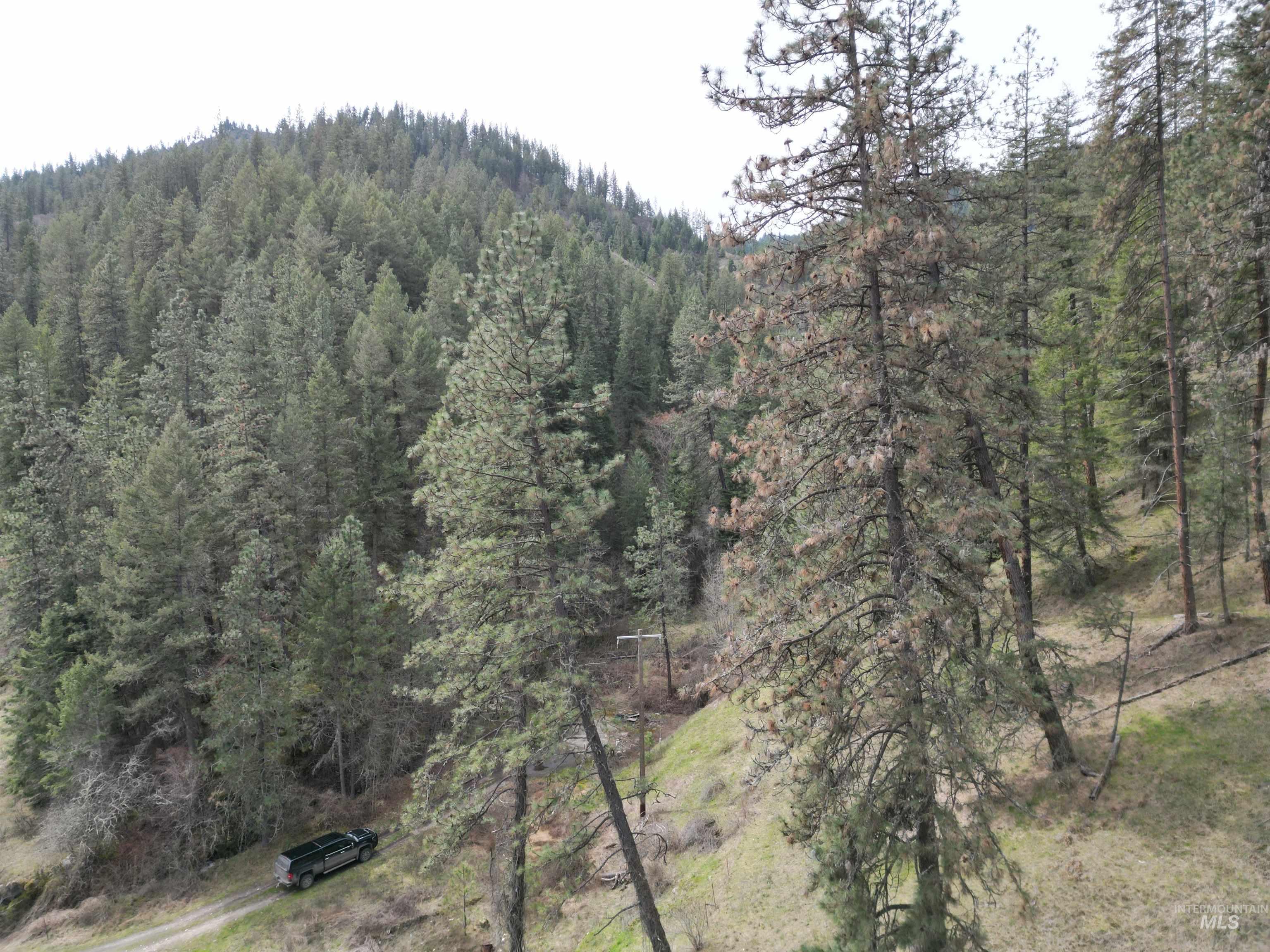 Tbd Highway 12 Property Photo 2