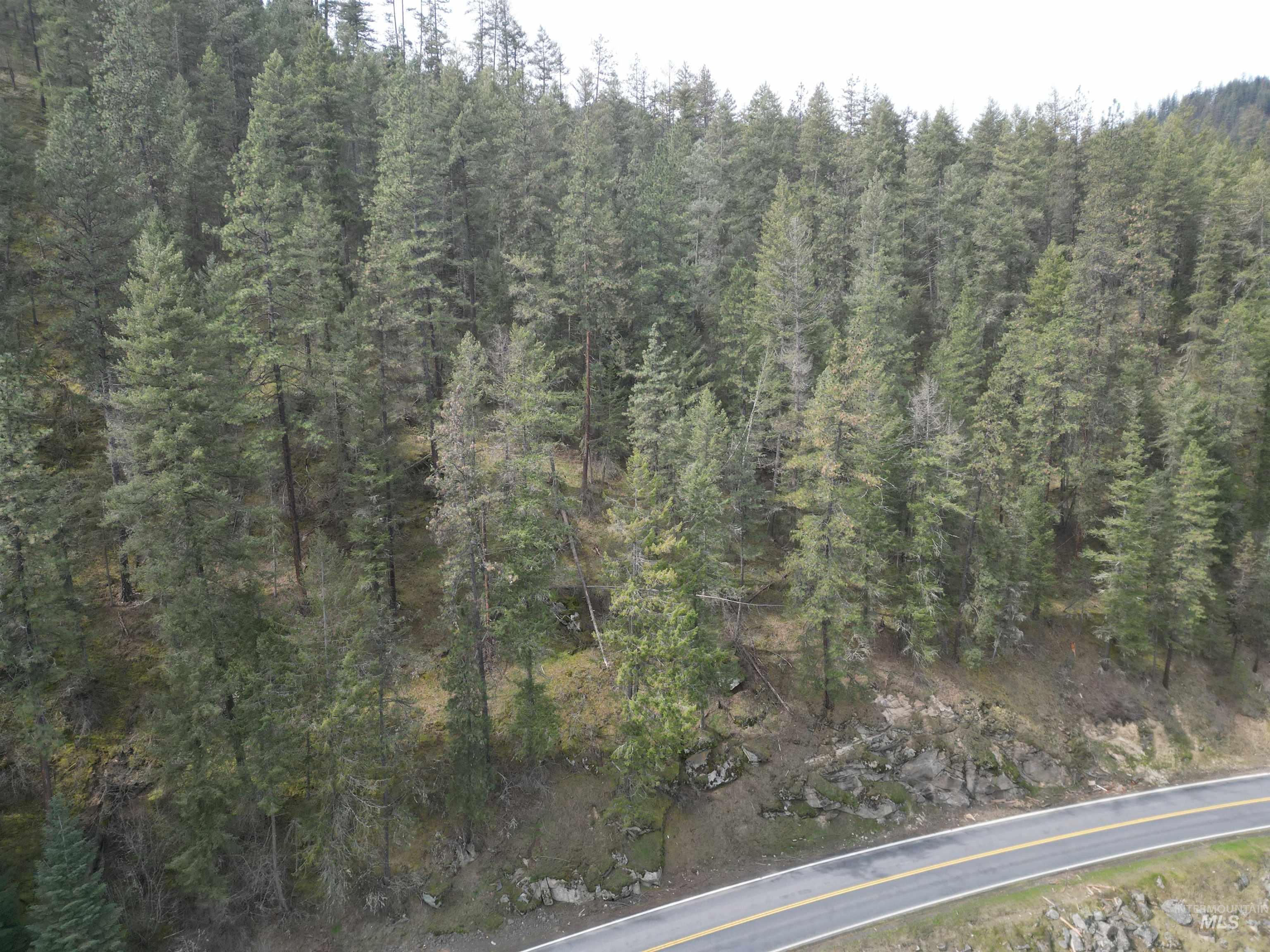 Tbd Highway 12 Property Photo 7